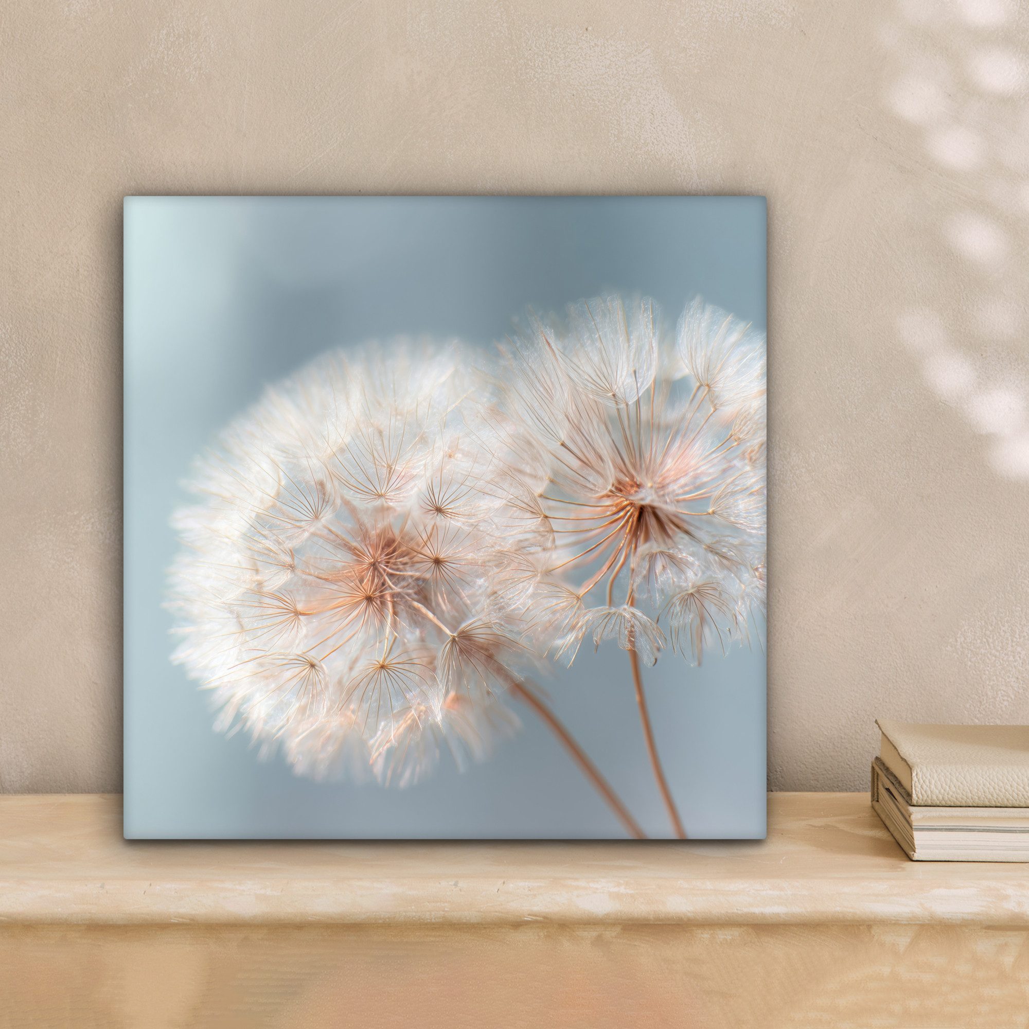 OneMillionCanvasses® Leinwandbild Pusteblumen - Flauschig - Weiß, Fotodruck (1 St), Wandbild, Deko Schlafzimmer Wohnzimmer Flur 20x20 cm