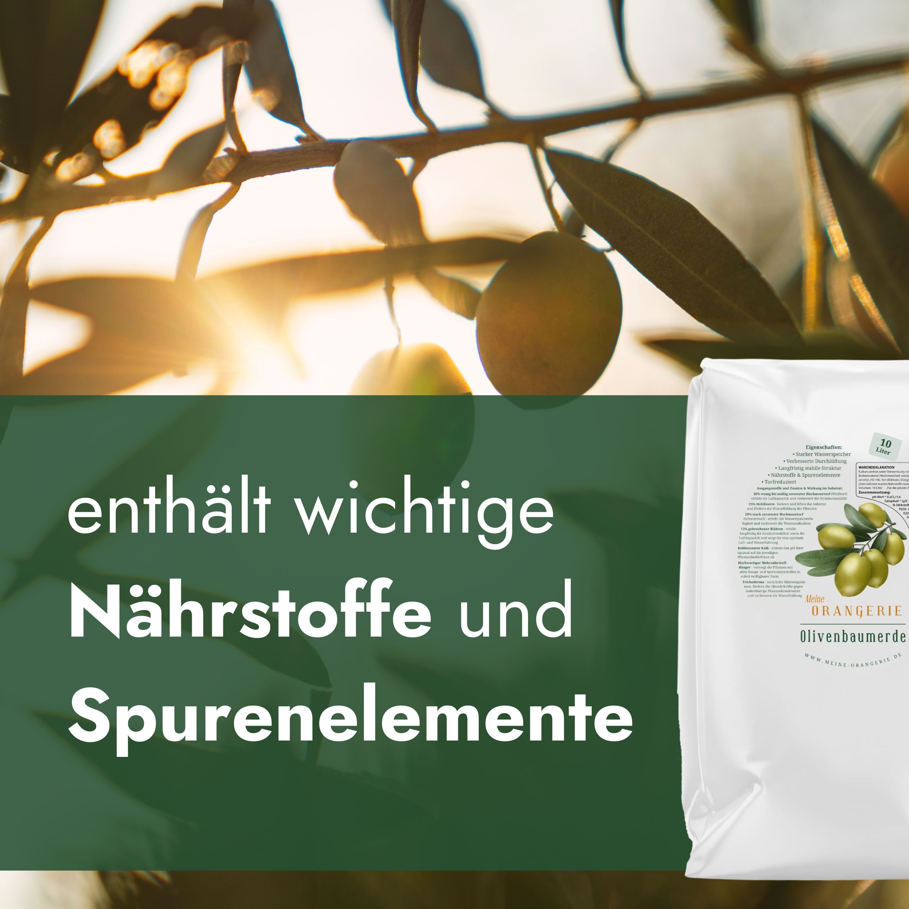 Meine Orangerie Spezialerde Olivenbaum Erde, mit hochwertigem Mehrnährstoffdünger, (Spezialsubstrat für mediterrane Kübelpflanzen und Gehölze), 10 Liter