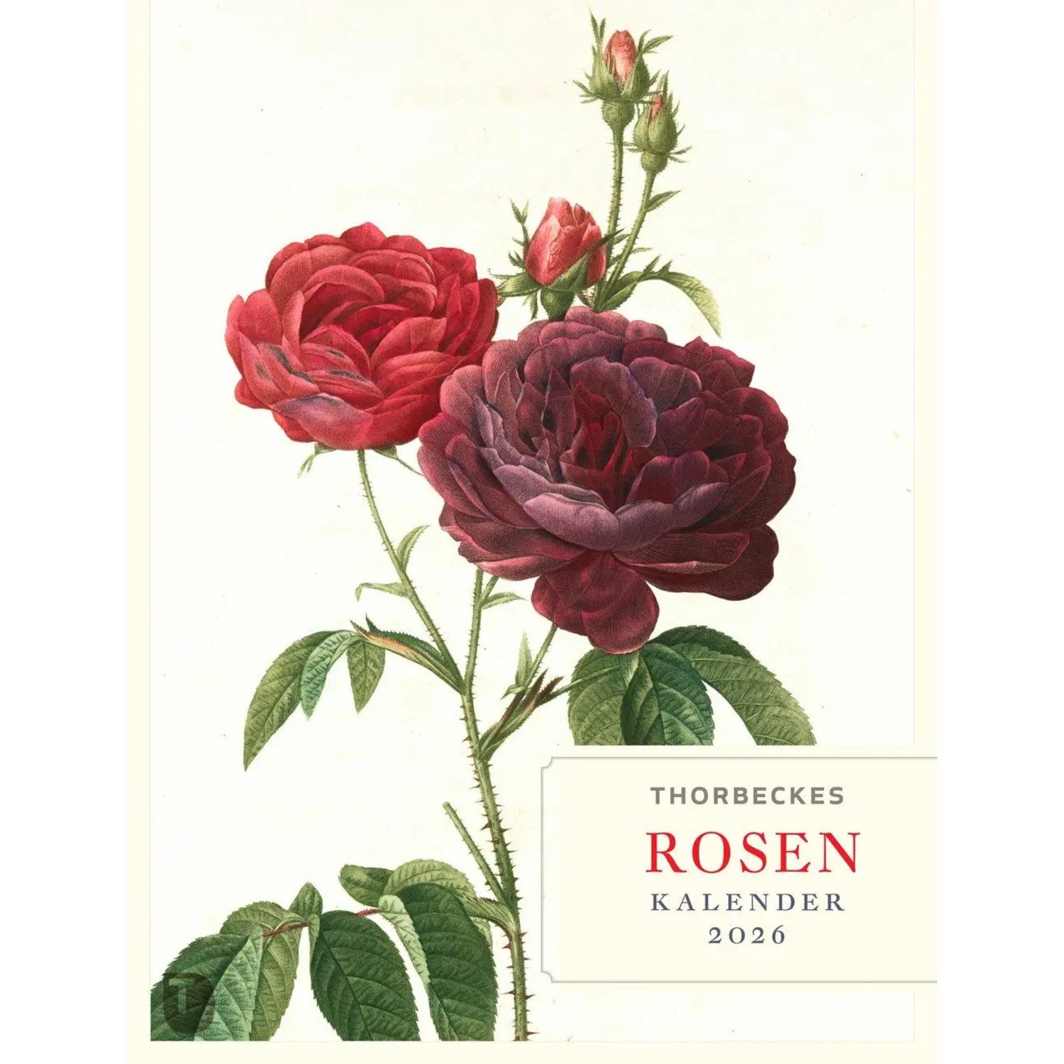Thorbecke Verlag Настенный календарь Thorbeckes Rosen-Kalender 2026