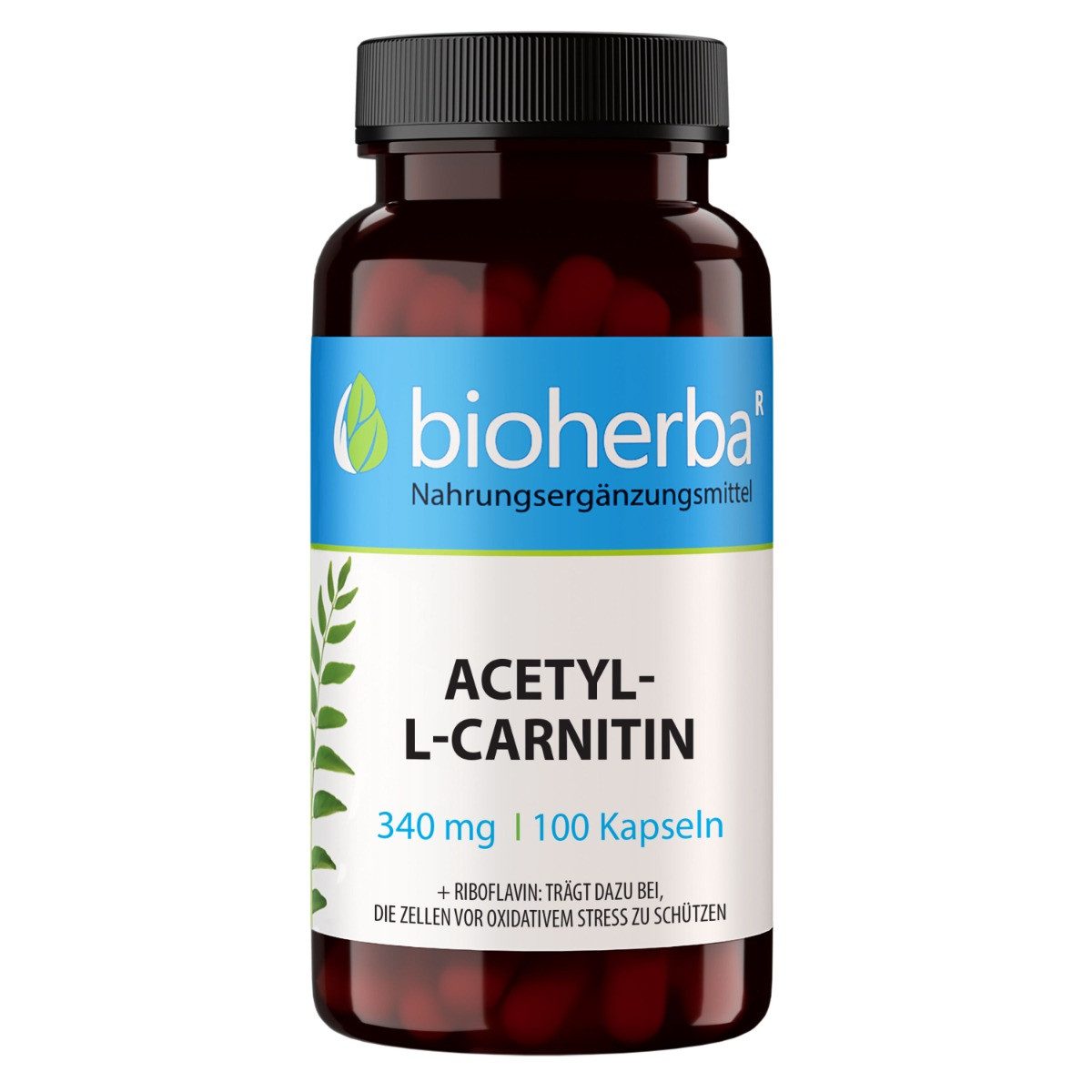 BIOHERBA R Bioherba Acetyl-L-Carnitin 340 mg 100 Kapseln Kapseln, 1 er