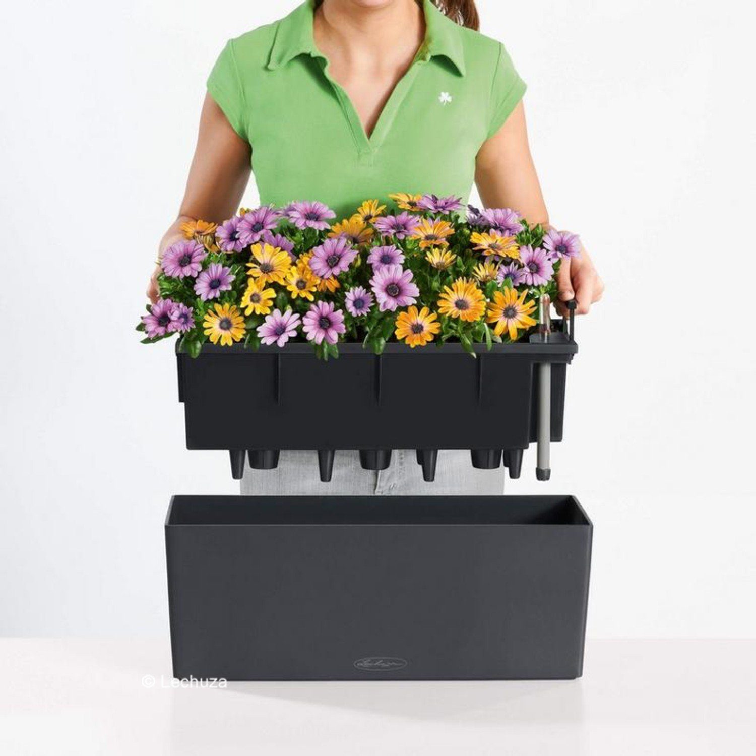 Lechuza® Balkonkasten Balkonkasten Balconera Color 50 günstig online kaufen