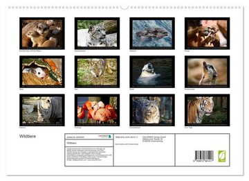 CALVENDO Wandkalender Wildtiere (Premium, hochwertiger DIN A2 Wandkalender 2023, Kunstdruck in Hochglanz)