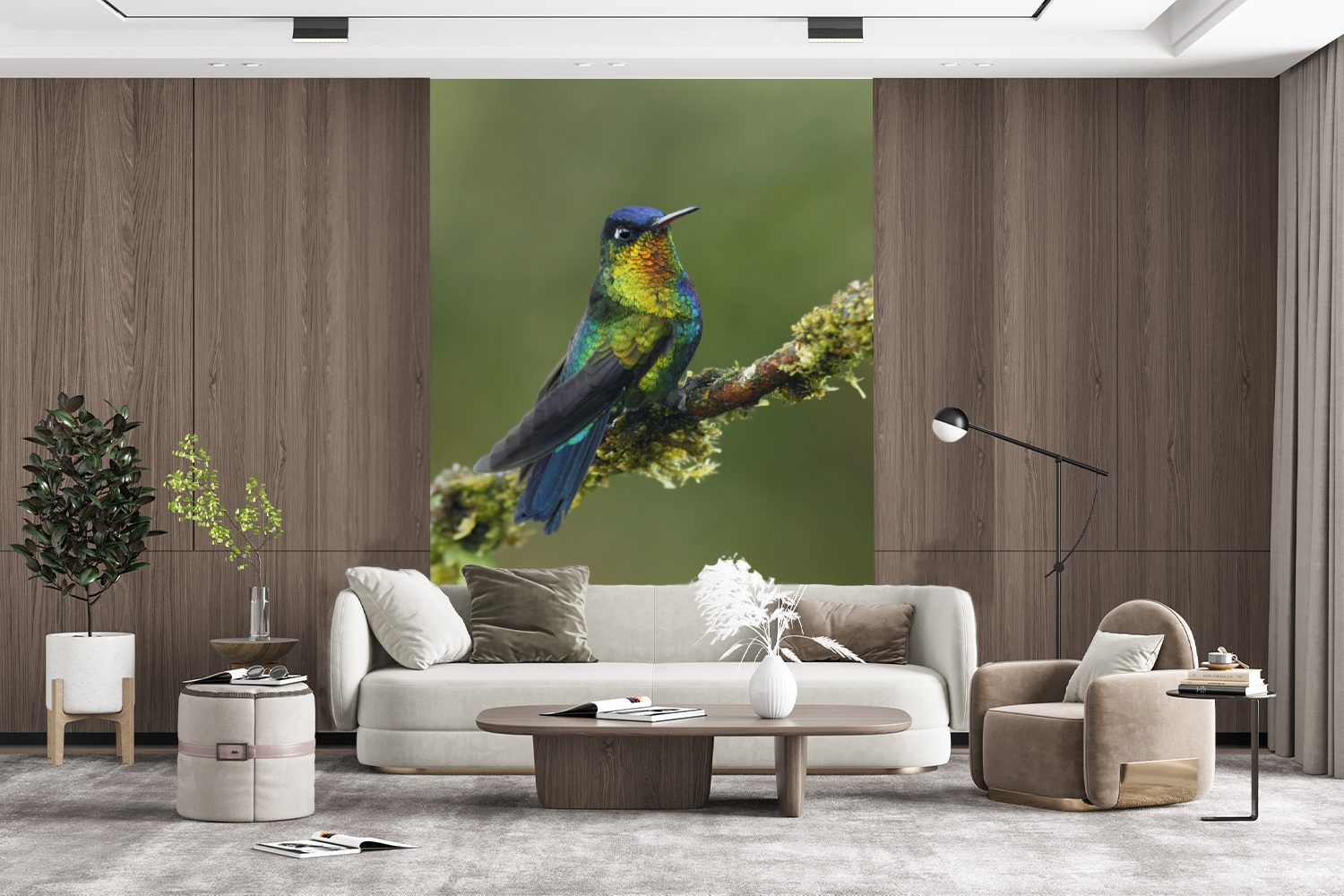 Matt, Wohnzimmer, Kolibri bedruckt, Montagefertig Farben, Vogel St), für Wandtapete - Fototapete Vinyl MuchoWow (3 - Tapete