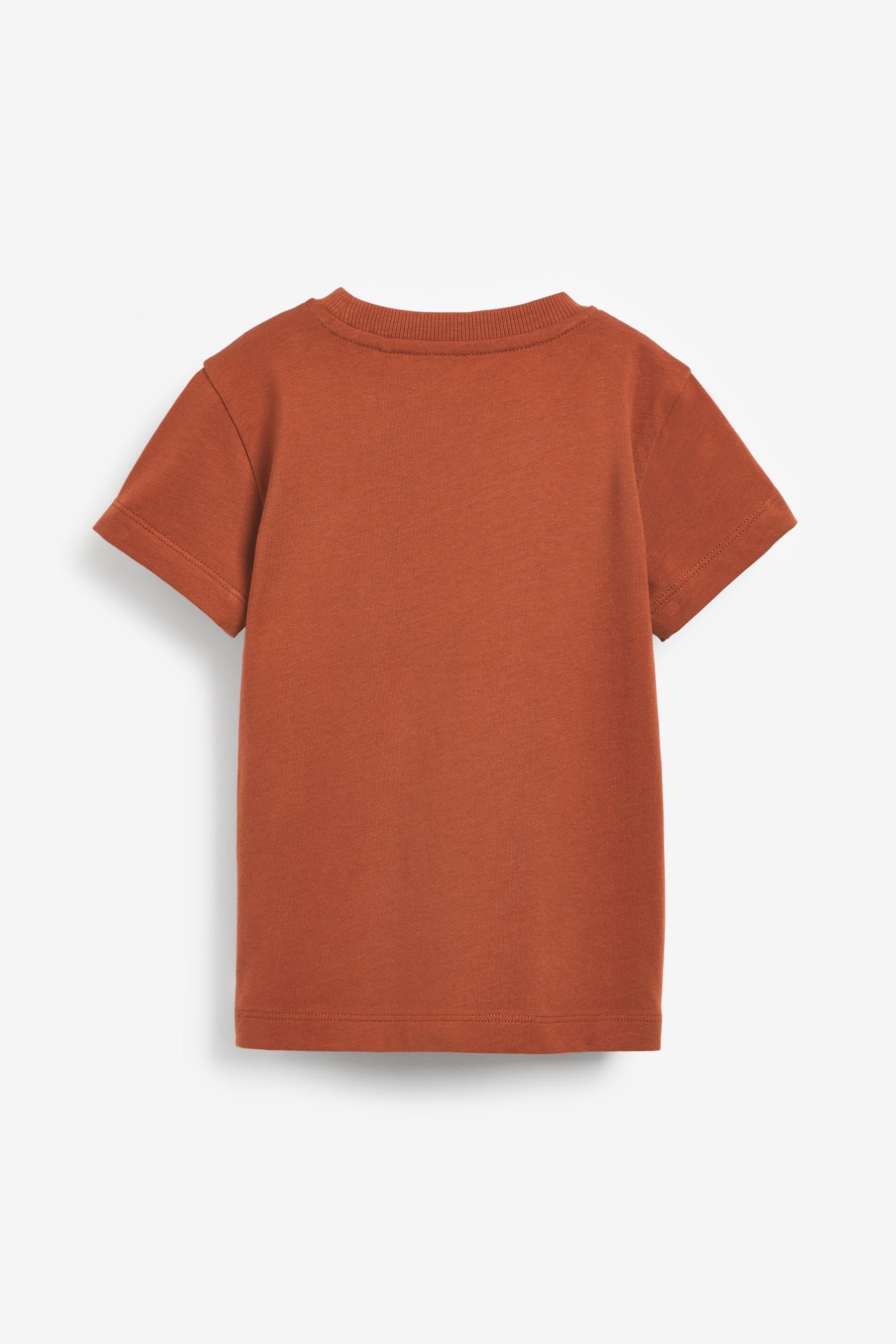 Kinder Jungen (Gr. 50 - 92) Next T-Shirt Nirvana T-Shirt mit kurzen Ärmeln