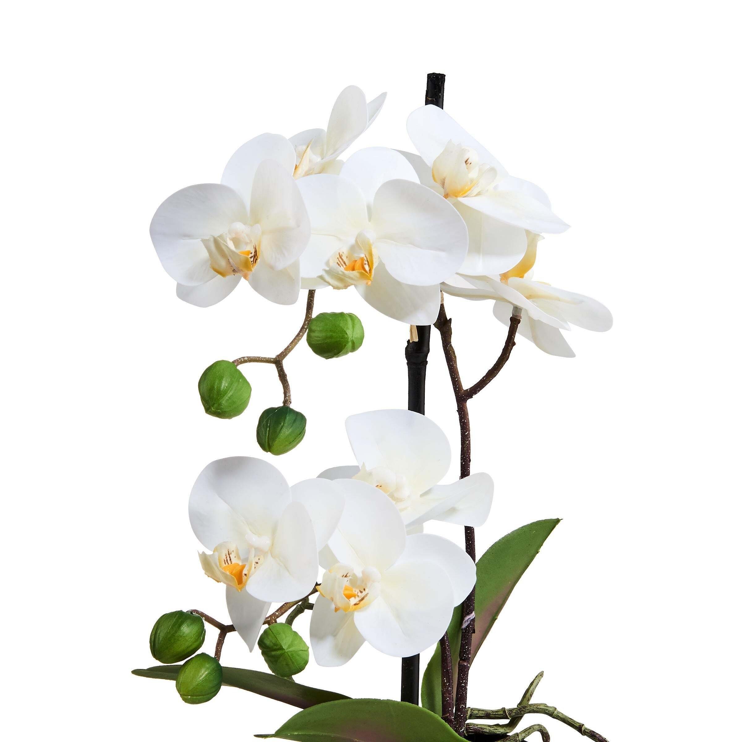 cm BUTLERS, im Orchidee 35 Höhe Kunstblume 35cm, FLORISTA Topf Höhe