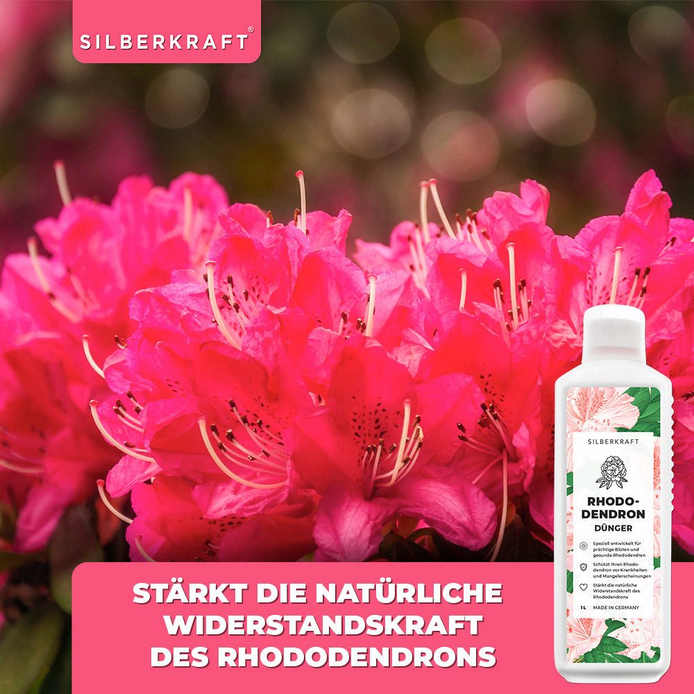Silberkraft Pflanzenstärkungsmittel Rhododendron Dünger - Mineralischer NPK Flüssigdünger mit Stickstoff, 1 L, Spezialdünger für Rhododendren, Azaleen, Hortensien & Kamelien, Für kräftige Wurzeln, sattes Blattgrün & reiche Blütenbildung