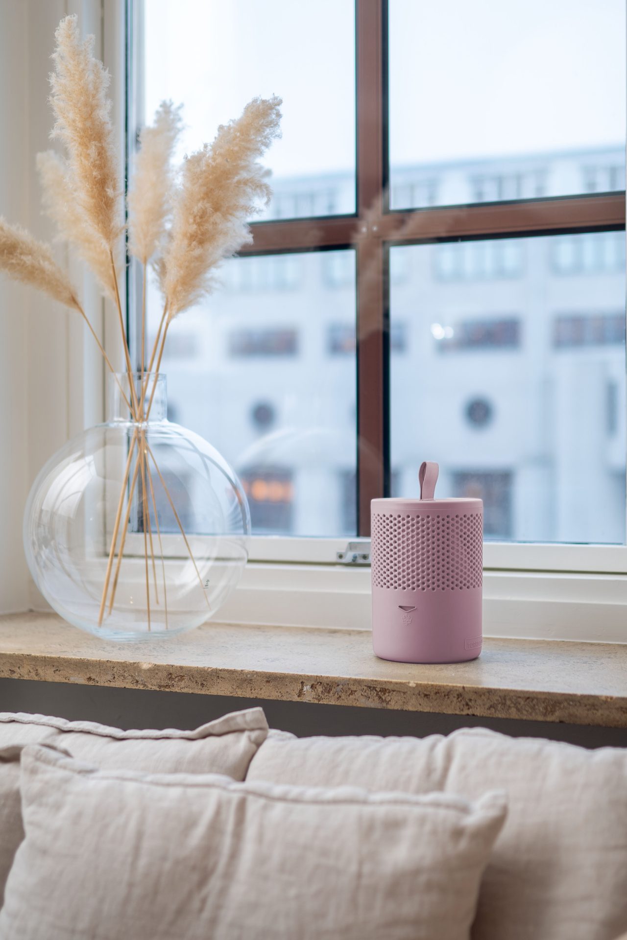 Absodry duo family Granulat-Luftentfeuchter Absodry Duo günstig online kaufen