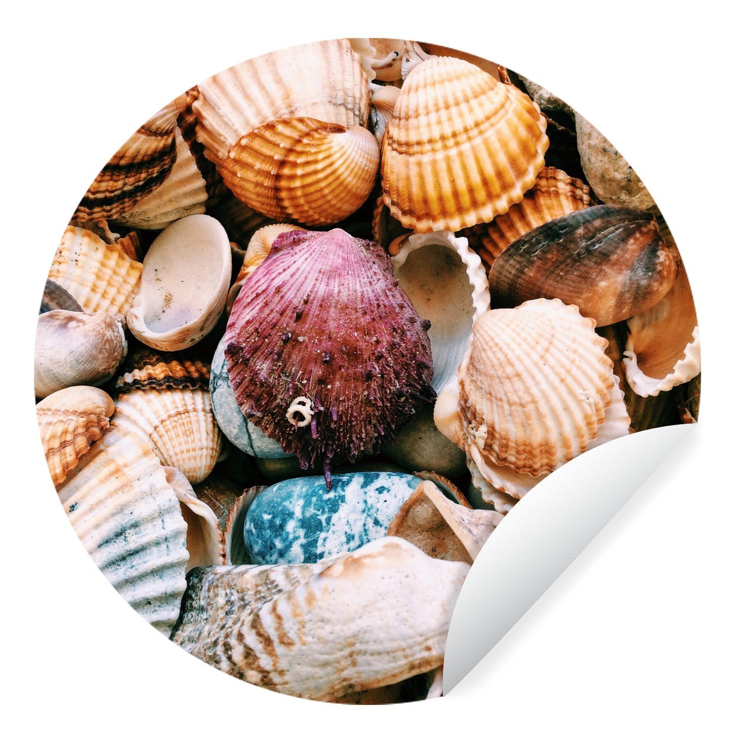 MuchoWow Wandsticker Muscheln - Strand - Griechenland (1 St), Wandtattoo Selbstklebend, Wohnzimmer Deko Aufkleber, 30x30 cm