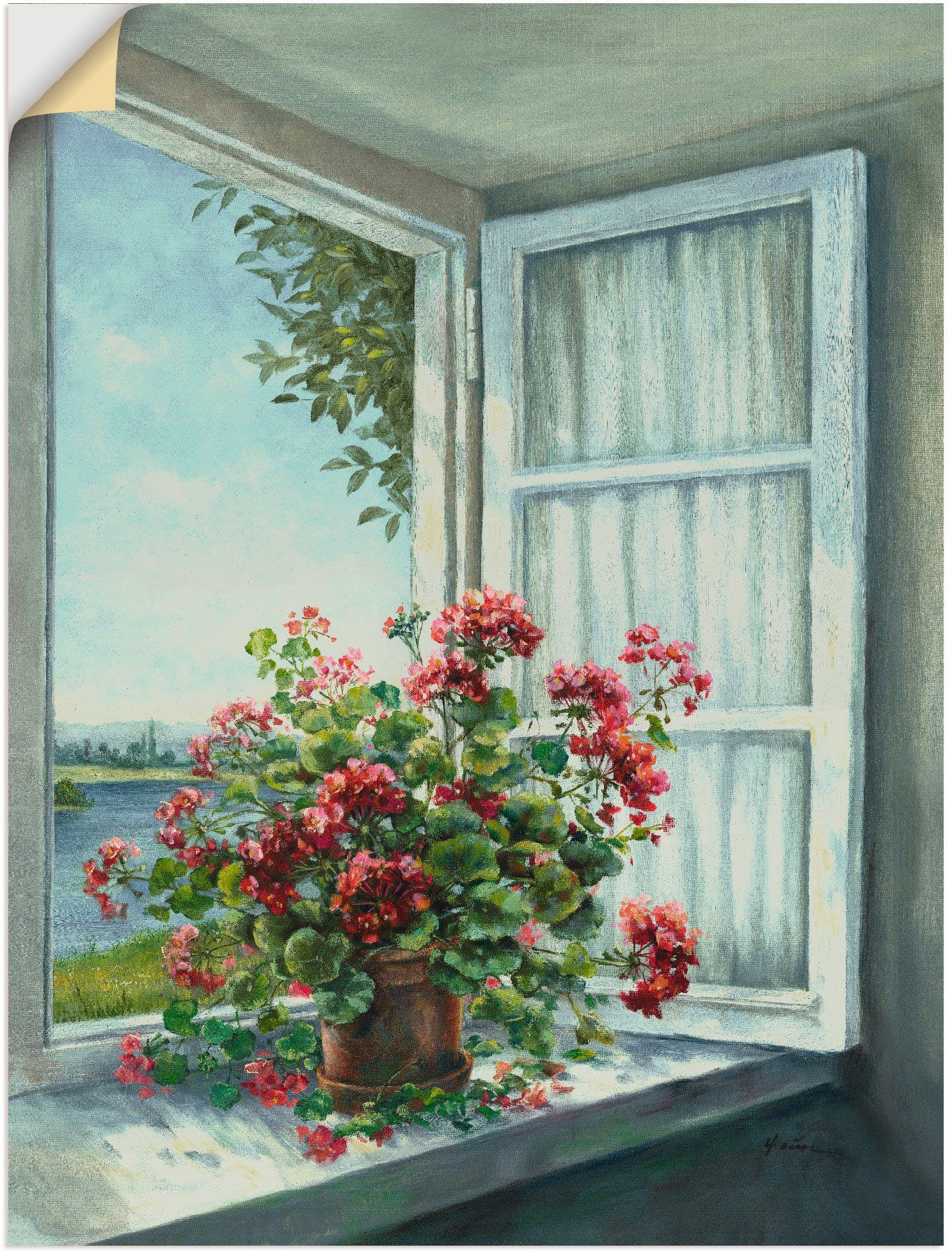 Fenster, am Alubild, Geranien St), Poster Wandbild als (1 in Leinwandbild, Wandaufkleber Blumen Größen versch. Artland oder