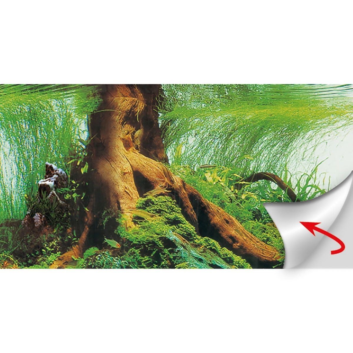 HOBBY Aquarienrückwand Fotorückwand für Aquarien Pearl River / Deep Delta - 100 x 50 cm
