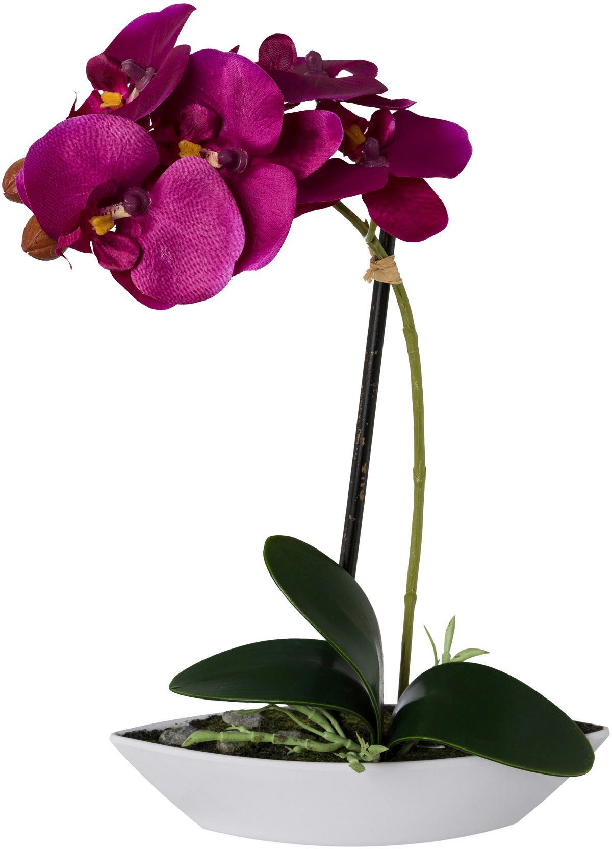 Kunstorchidee Phalaenopsis, Creativ green, Höhe in Set, lila Kunststoffschale cm, 2er 30