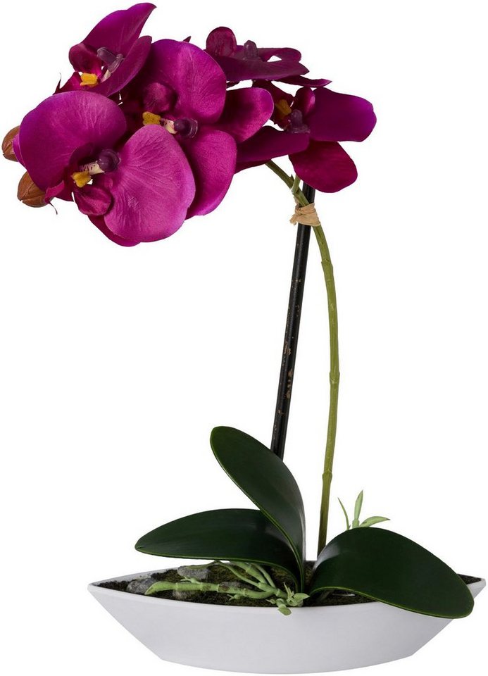 Kunstorchidee »Phalaenopsis«, Creativ green, Höhe 30 cm, 2er Set, in Kunststoffschale-HomeTrends