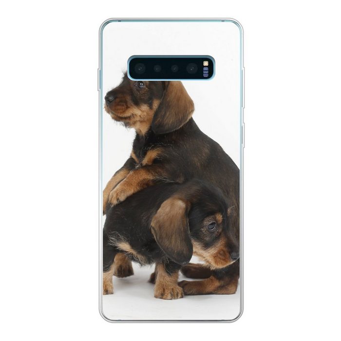 MuchoWow Handyhülle Studiofoto von zwei süßen Dackeln Phone Case Handyhülle Samsung Galaxy S10 Lite Silikon Schutzhülle