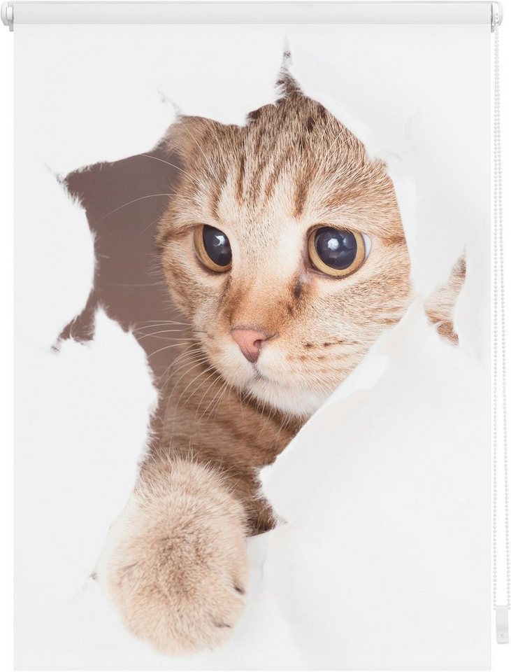 Seitenzugrollo Klemmfix Digital Katze, LICHTBLICK ORIGINAL, verdunkelnd, ohne  Bohren, freihängend, Klemmfix, bedruckt