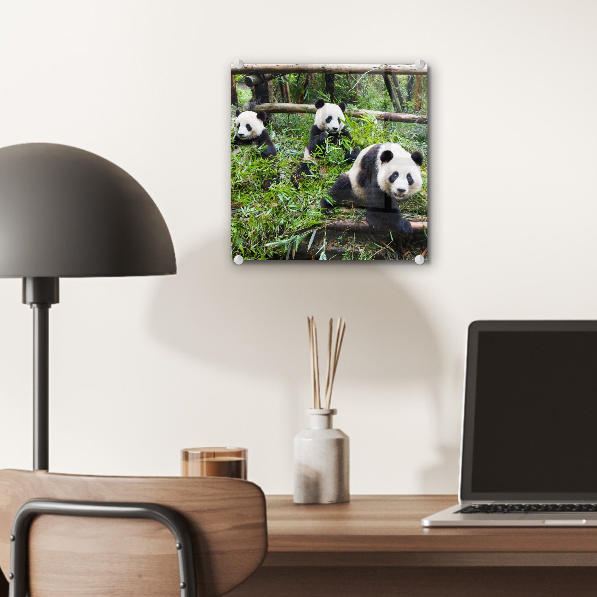 - Glasbilder (1 MuchoWow Foto Glas Bambus St), Bilder Wanddekoration - auf Glas auf Acrylglasbild - - - Wandbild Blätter, Pandas