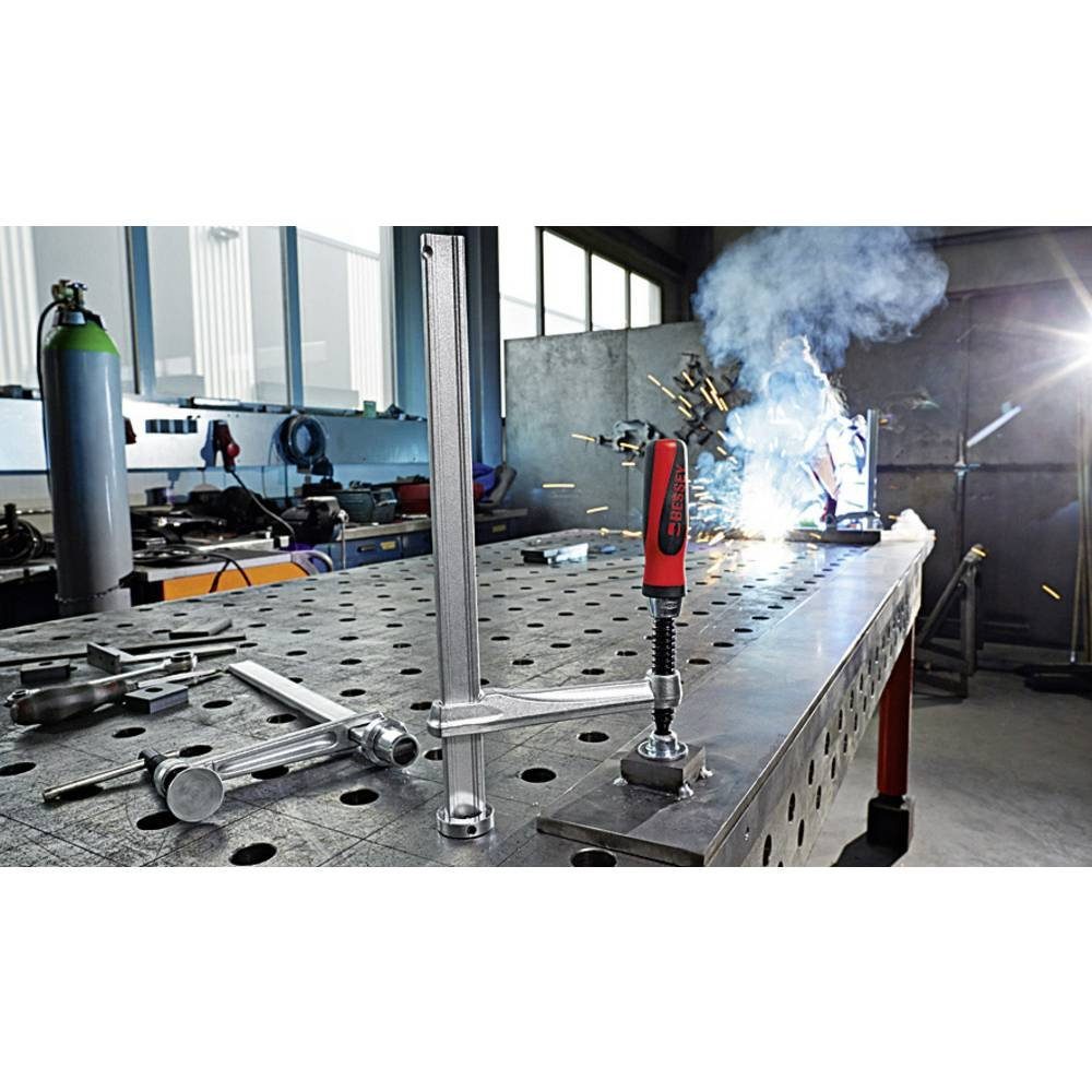 Bessey Schraubzwinge Schraubzwinge für mit 2K-Griff TW28-30-12-2K