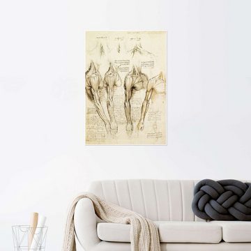 Posterlounge Poster Leonardo da Vinci, Muskeln von Schulter, Arm und Hals, Illustration