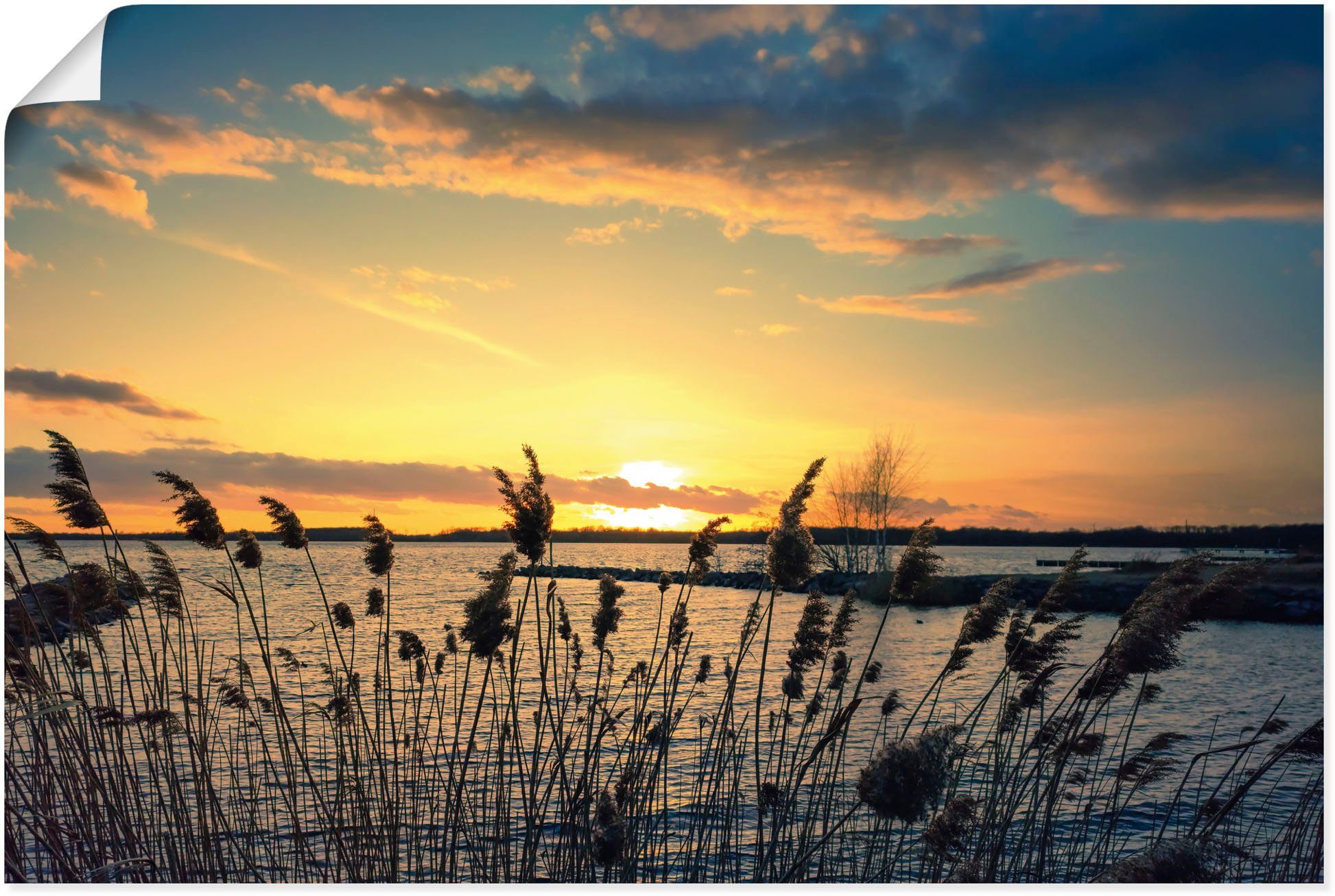 Artland Wandbild Sonnenuntergang naturfarben Schilf, (1 Wandaufkleber Poster Alubild, Größen oder Gewässer versch. St), Leinwandbild, See im am als in