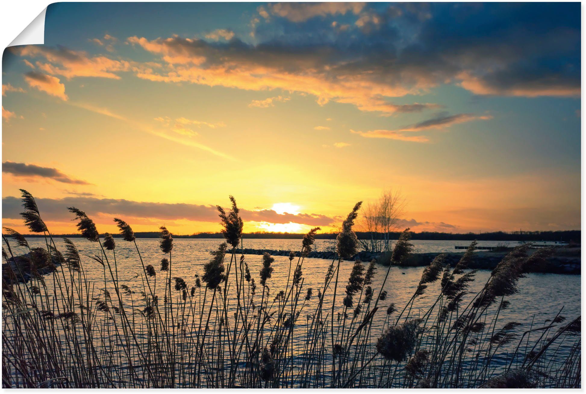 naturfarben in St), Poster See Leinwandbild, Sonnenuntergang Artland Schilf, Wandaufkleber oder Wandbild Gewässer (1 als Alubild, Größen versch. am im