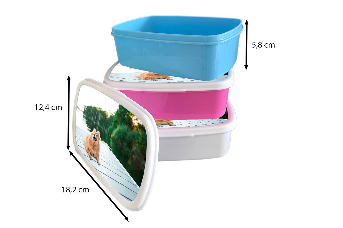 MuchoWow Lunchbox Pomeranian liegend auf weiß für Brotdose, und (2-tlg), und Jungs Kinder Mädchen für Steg, Brotbox Kunststoff, Erwachsene