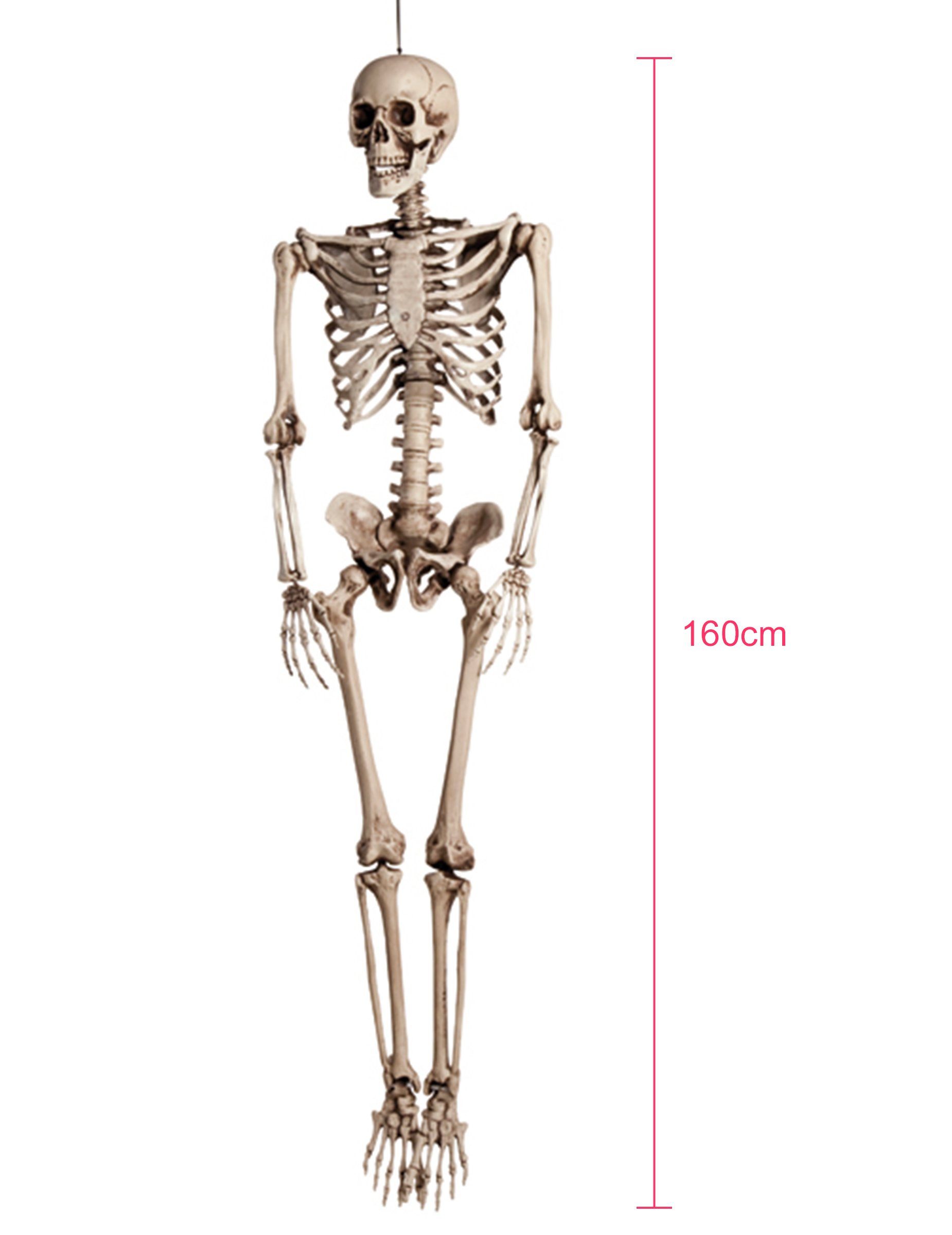 Kostüm Realistisches Skelett Halloween-Hängedeko beige 160cm