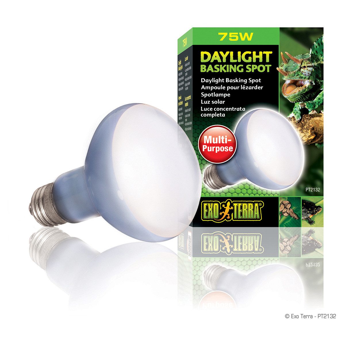 Exo Terra Terrarienleuchte Daylight Basking Spot günstig online kaufen