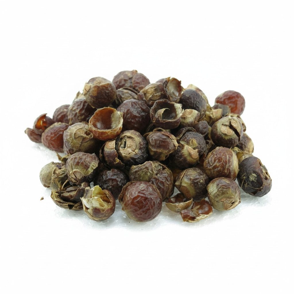 TWaLa Filtersubstrat, Indische Waschnüsse 1 Kg lose in PE-Beutel
