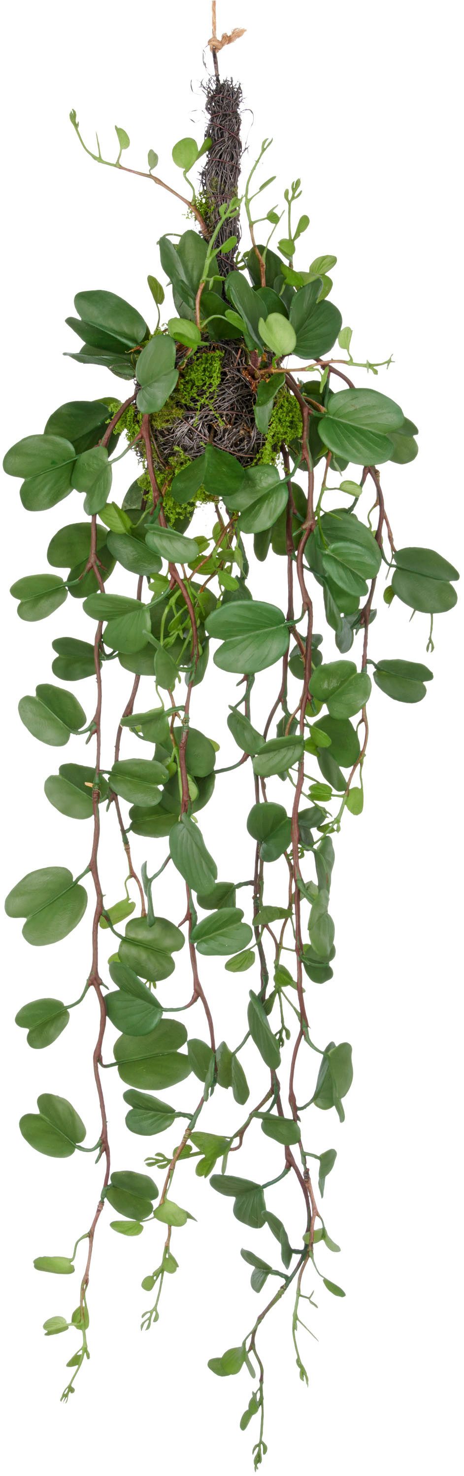 Kunstpflanze Bauhinia, Creativ green, Höhe 90 cm, mit detailgetreuen Blattranken an Reisigkugel