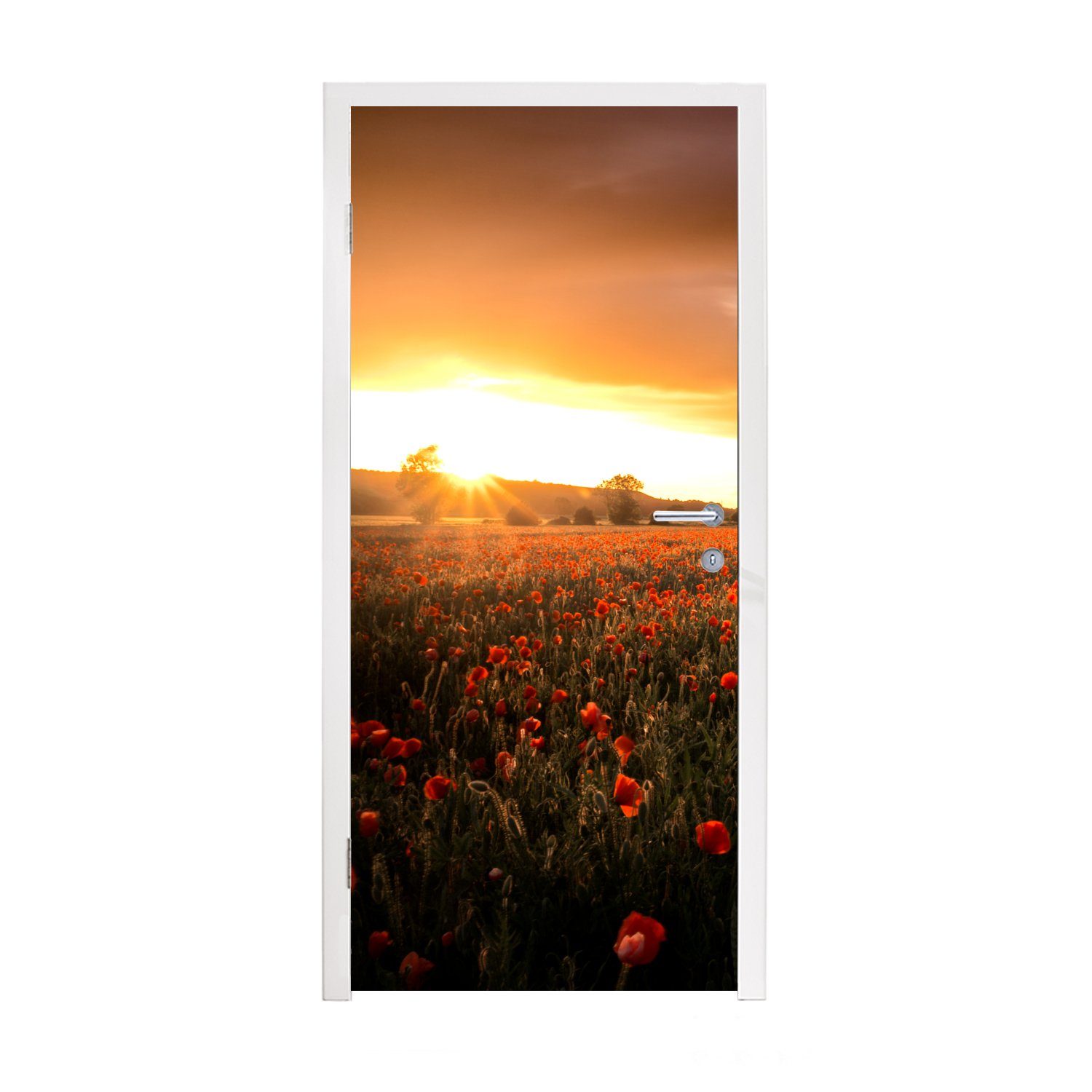 MuchoWow Türtapete Sonnenuntergang über den Mohnblumen in England, Matt, bedruckt, (1 St), Fototapete für Tür, Türaufkleber, 75x205 cm