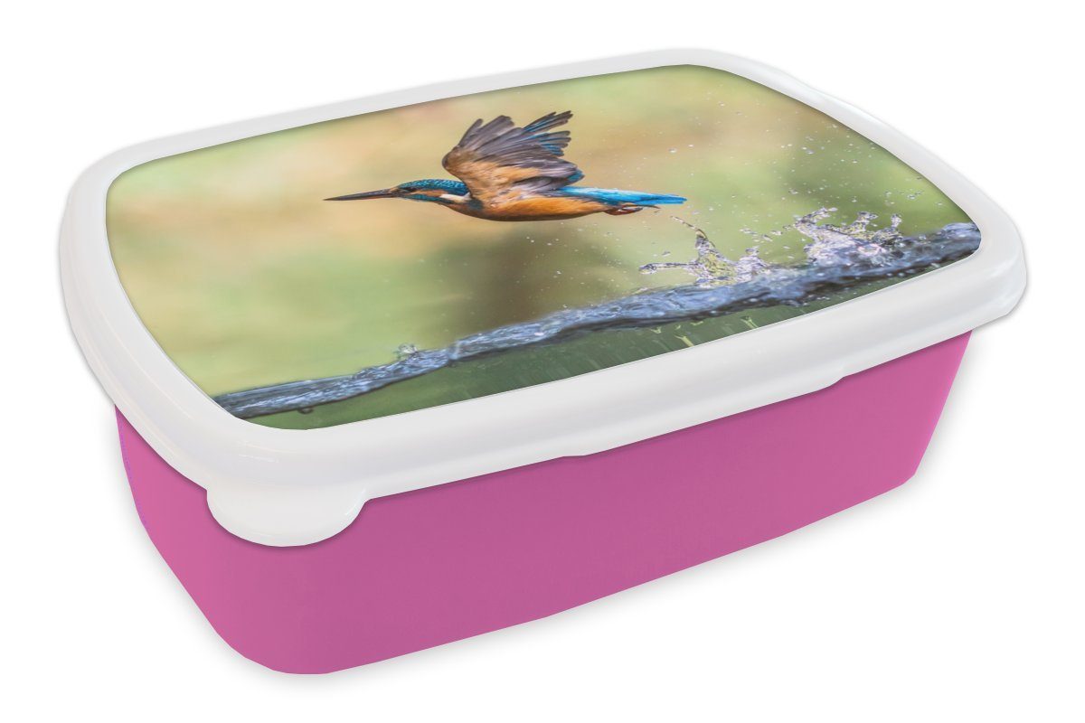 MuchoWow Lunchbox Eisvogel - Wasser - Fliegen, Kunststoff, (2-tlg), Brotbox für Erwachsene, Brotdose Kinder, Snackbox, Mädchen, Kunststoff rosa