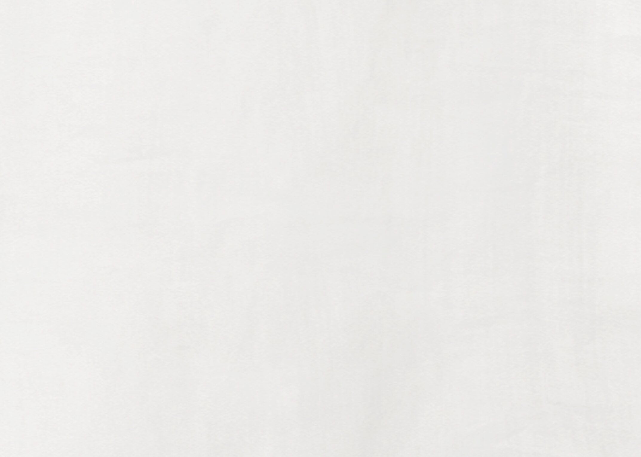 Luisa Cerano Langarmbluse