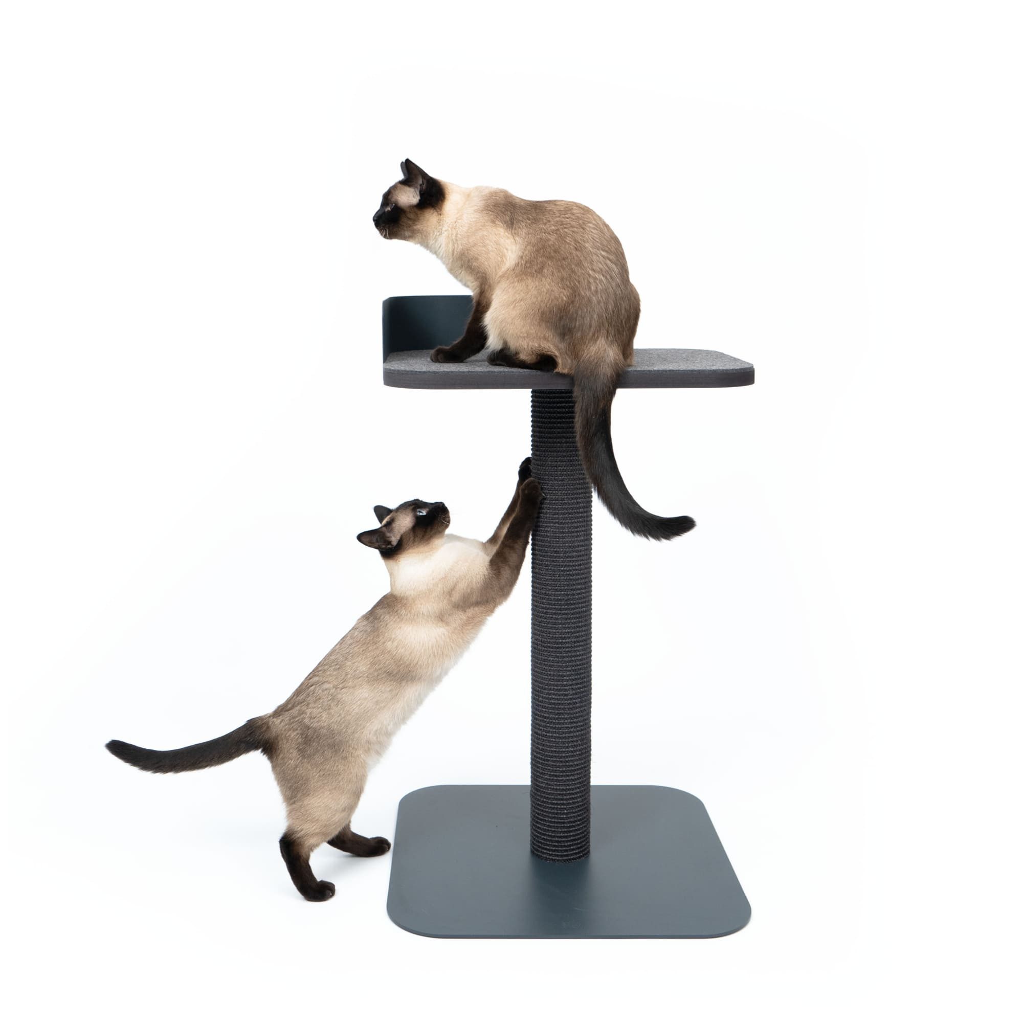 LucyBalu Kratzbaum PLATEAU Katzen Kratz- & Liegeturm, Vollholzstamm