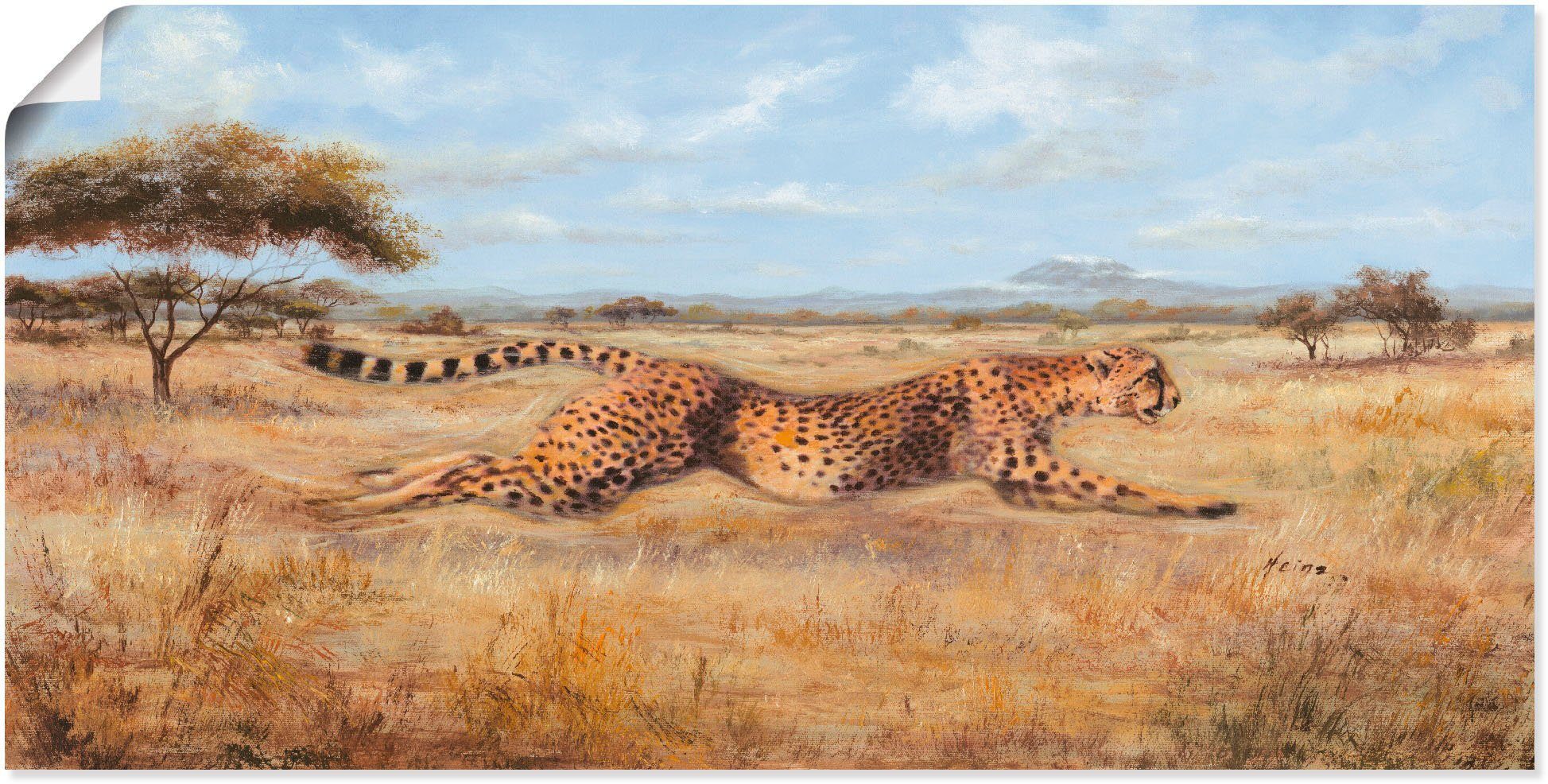 Artland Wandbild Laufender Gepard, Wildtiere (1 St), als Alubild,  Leinwandbild, Wandaufkleber oder Poster in versch. Größen