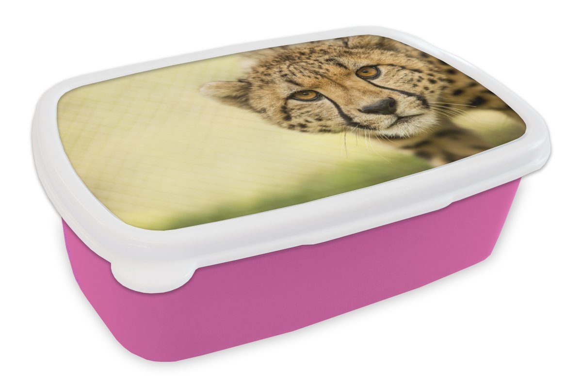 MuchoWow Lunchbox Leopard - Gepard - Tier, Kunststoff, (2-tlg), Brotbox für Erwachsene, Brotdose Kinder, Snackbox, Mädchen, Kunststoff rosa