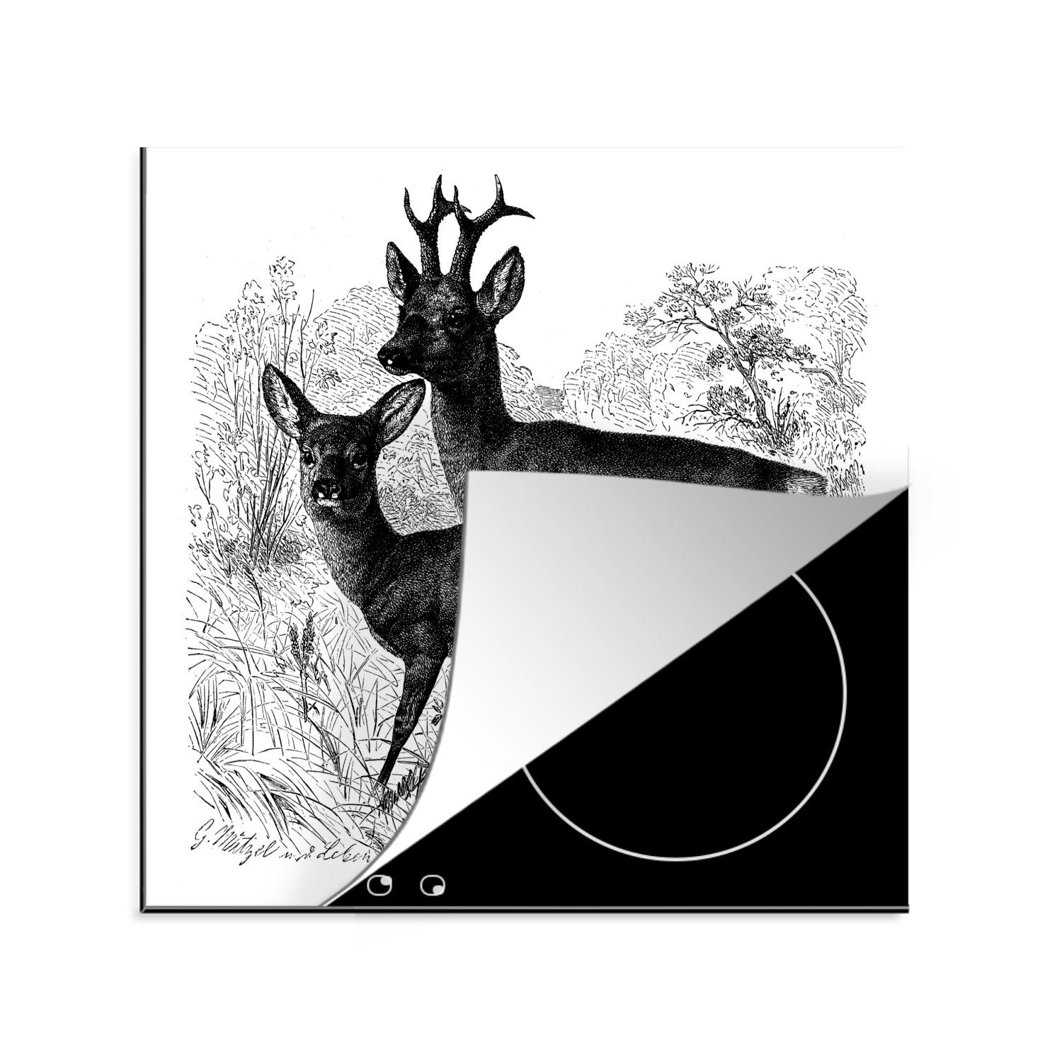 MuchoWow Herdblende-/Abdeckplatte Eine Schwarz-Weiß-Illustration von Rehen in der Natur, Vinyl, (1 tlg), 78x78 cm, Ceranfeldabdeckung, Arbeitsplatte für küche
