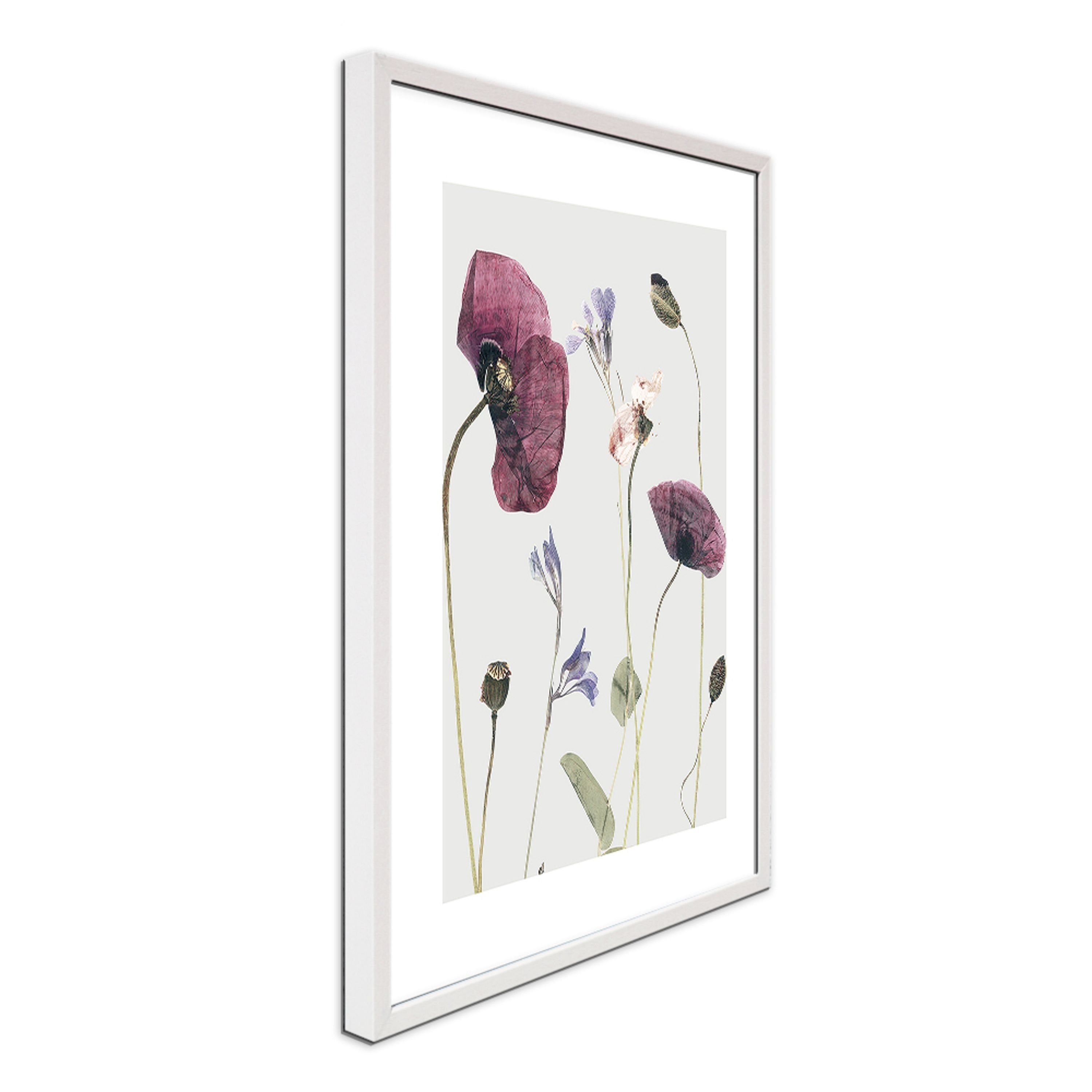 gerahmt 51x41cm mit / Holz-Rahmen Bild artissimo Klatsch-Mohn Mohn-Blumen, mit Design-Poster Rahmen Bild I / Trocken-Blumen: