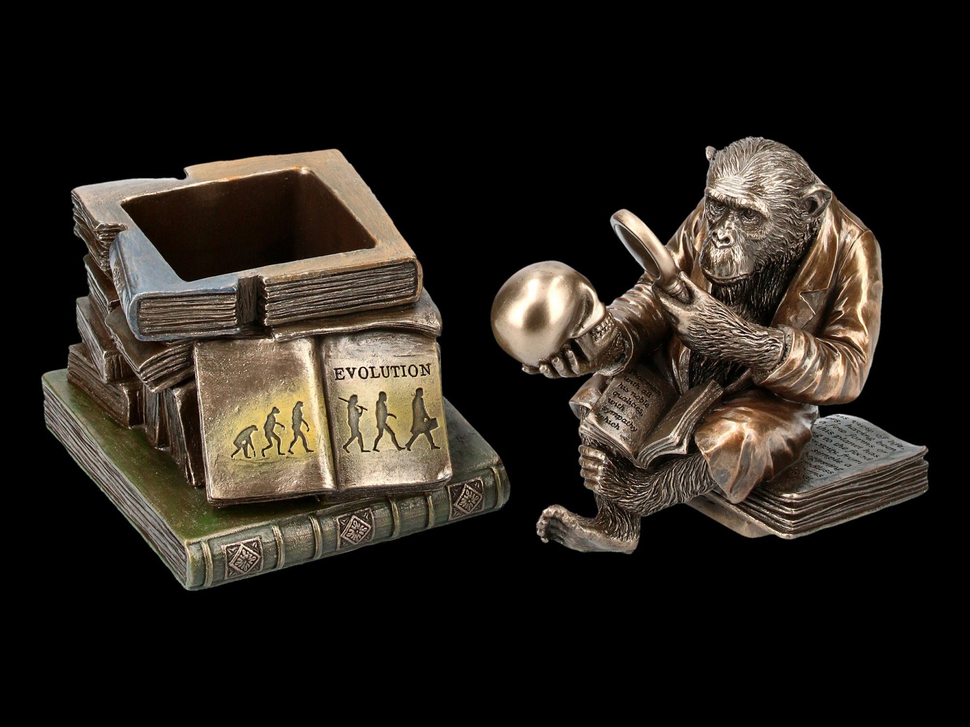 Figuren Shop Schädel - Figur mit GmbH Deko Darwinismus Evolutionstheorie - Veronese Box Tierfigur Affe