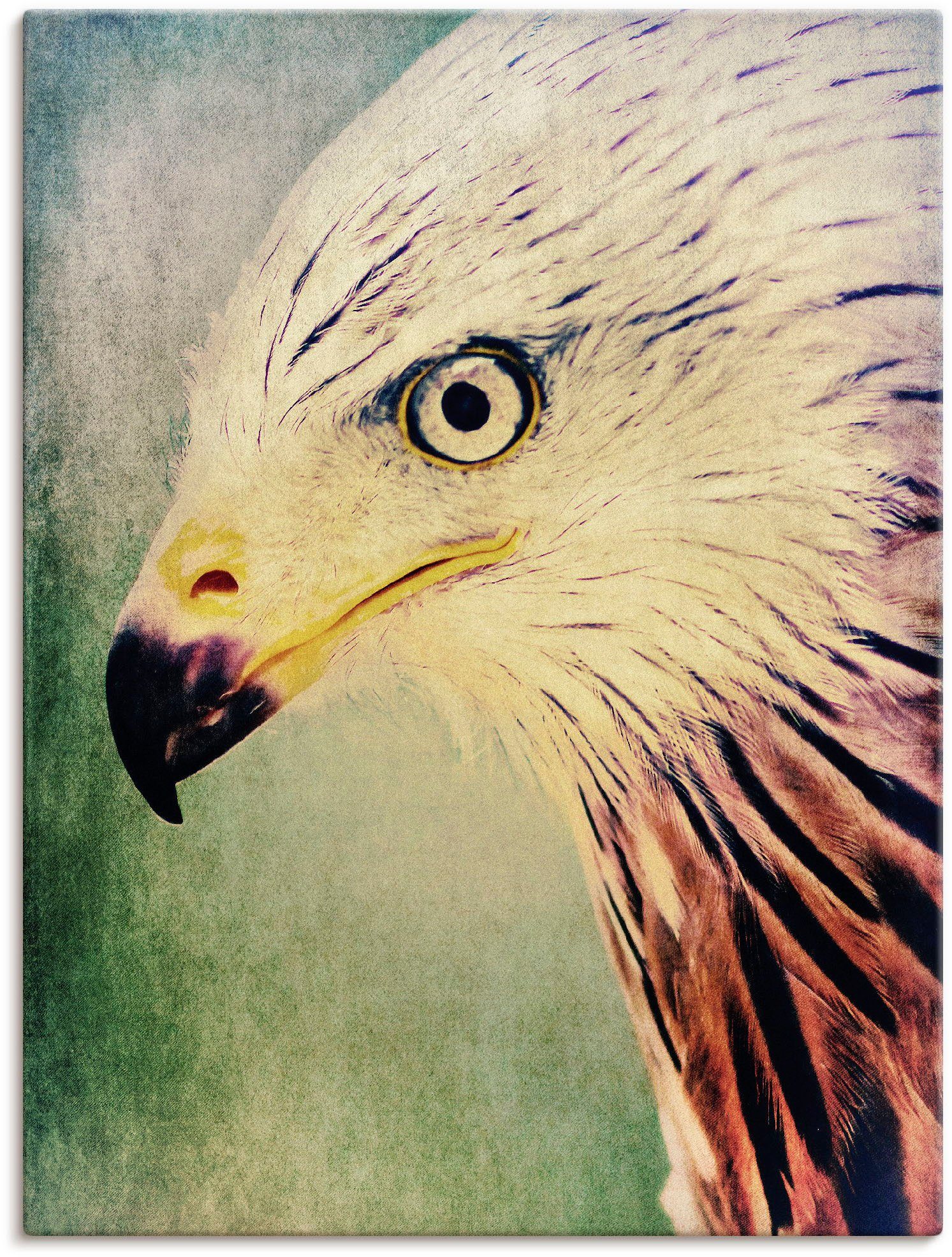 Artland Wandbild Rotmilan, Vögel (1 St), als Leinwandbild, Wandaufkleber oder Poster in versch. Größen