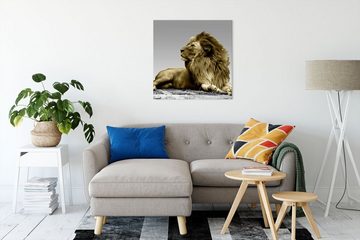 Pixxprint Leinwandbild majestätischer Löwe auf Fels, majestätischer Löwe auf Fels (1 St), Leinwandbild fertig bespannt, inkl. Zackenaufhänger