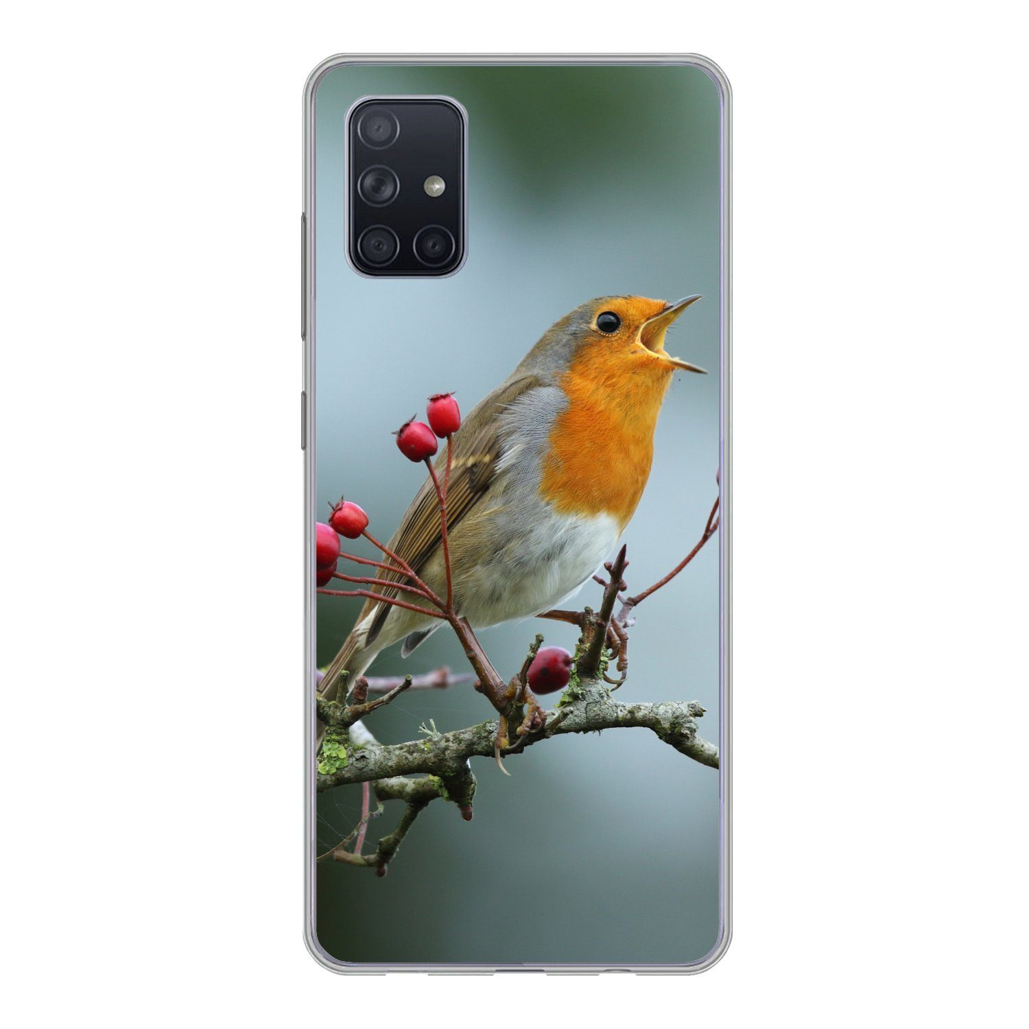 MuchoWow Handyhülle Rotkehlchen - Zweig - Beeren, Phone Case, Handyhülle Samsung Galaxy A71, Silikon, Schutzhülle