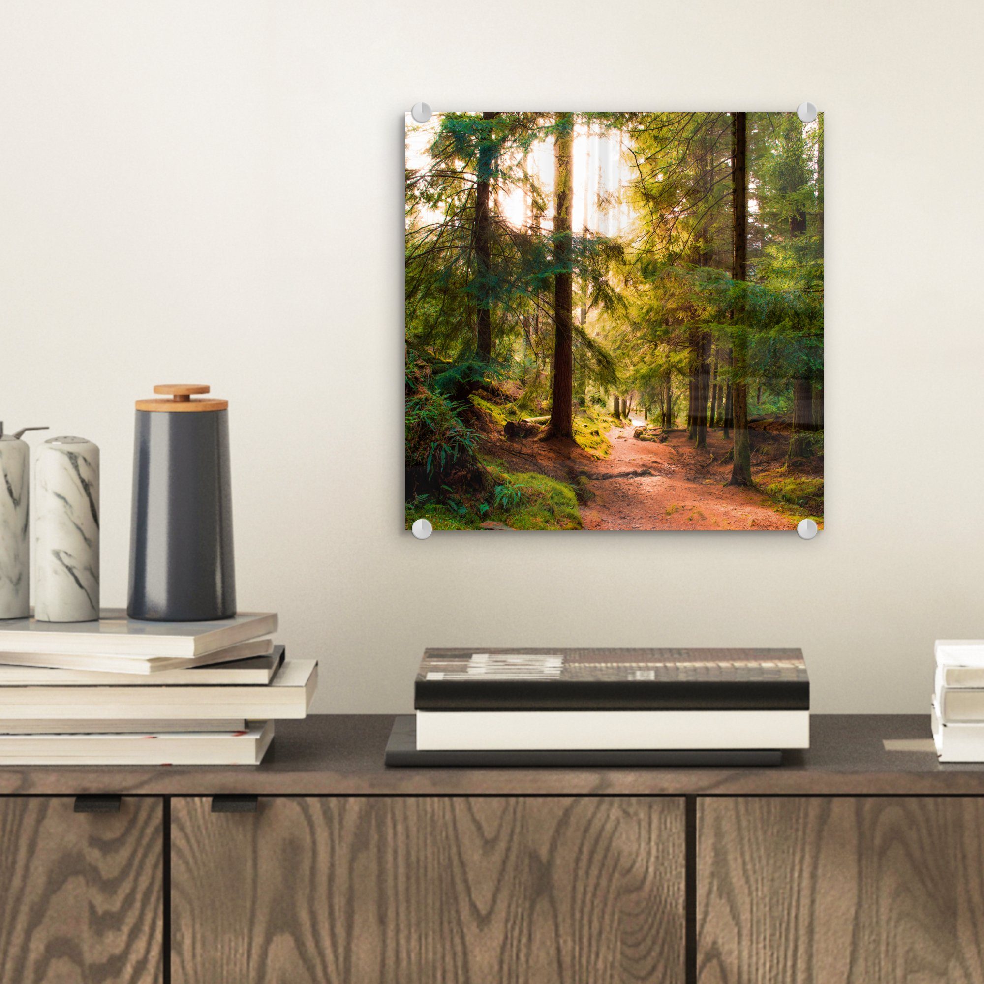 MuchoWow Acrylglasbild Wald - Weg - günstig online kaufen