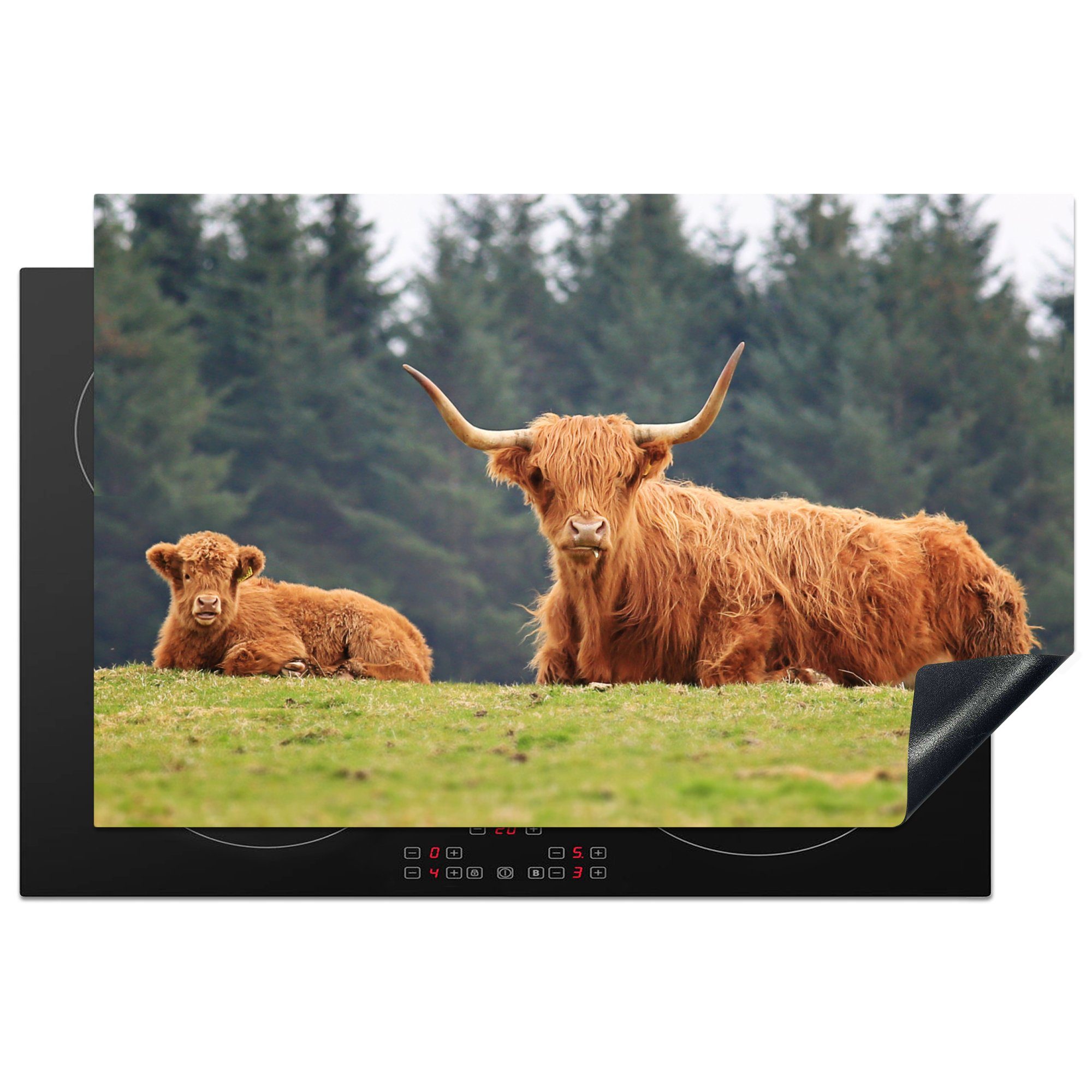 (1 Induktionskochfeld Schottische für Wald, Herdblende-/Abdeckplatte - Ceranfeldabdeckung Vinyl, Gras Highlander - die 81x52 MuchoWow küche, cm, Schutz tlg),