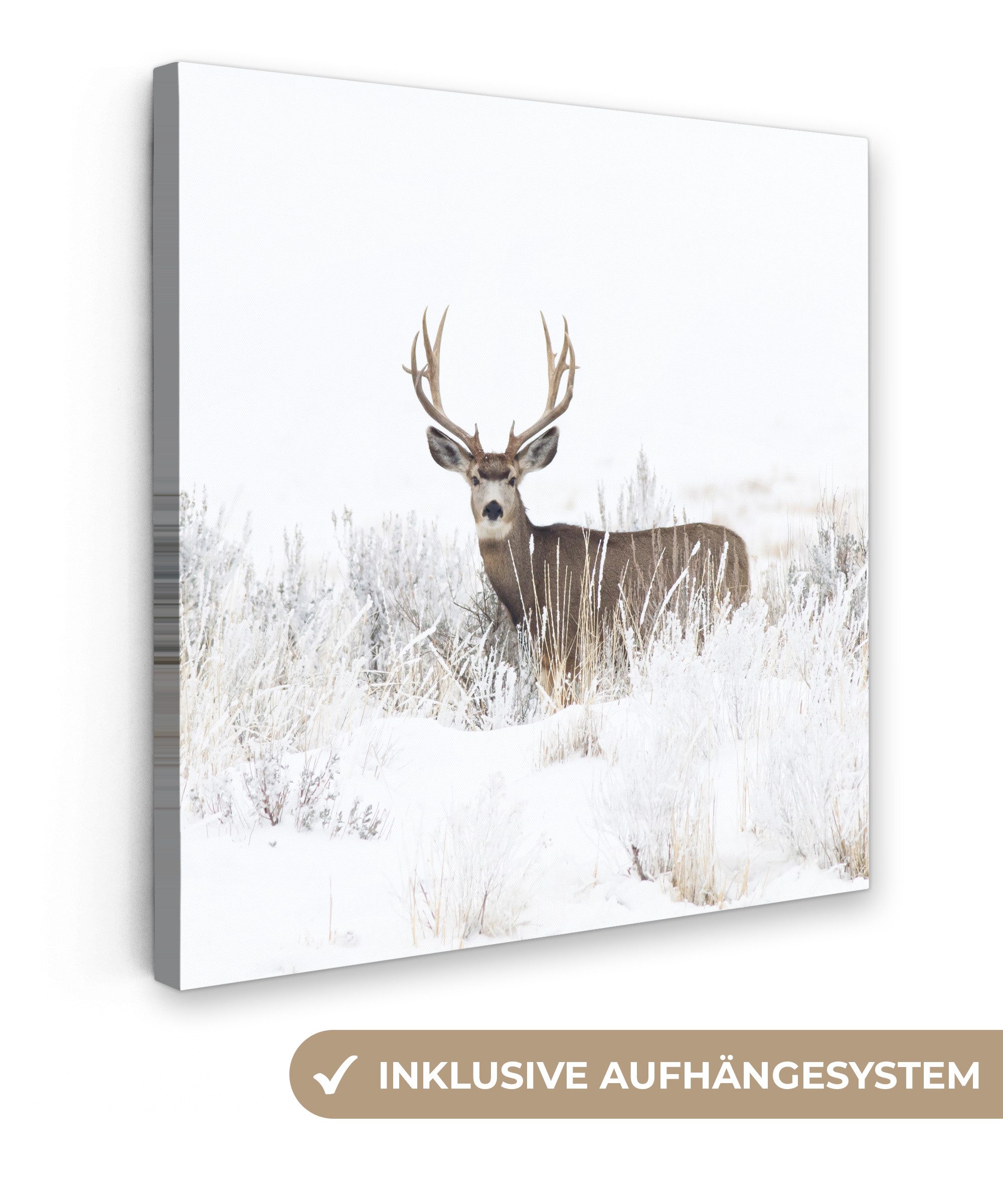 OneMillionCanvasses® Leinwandbild Hirsche - Winter - Schnee - Tiere - Jahreszeiten - Weiß, Fotodruck (1 St), Wandbild, Deko Schlafzimmer Wohnzimmer Flur 20x20 cm