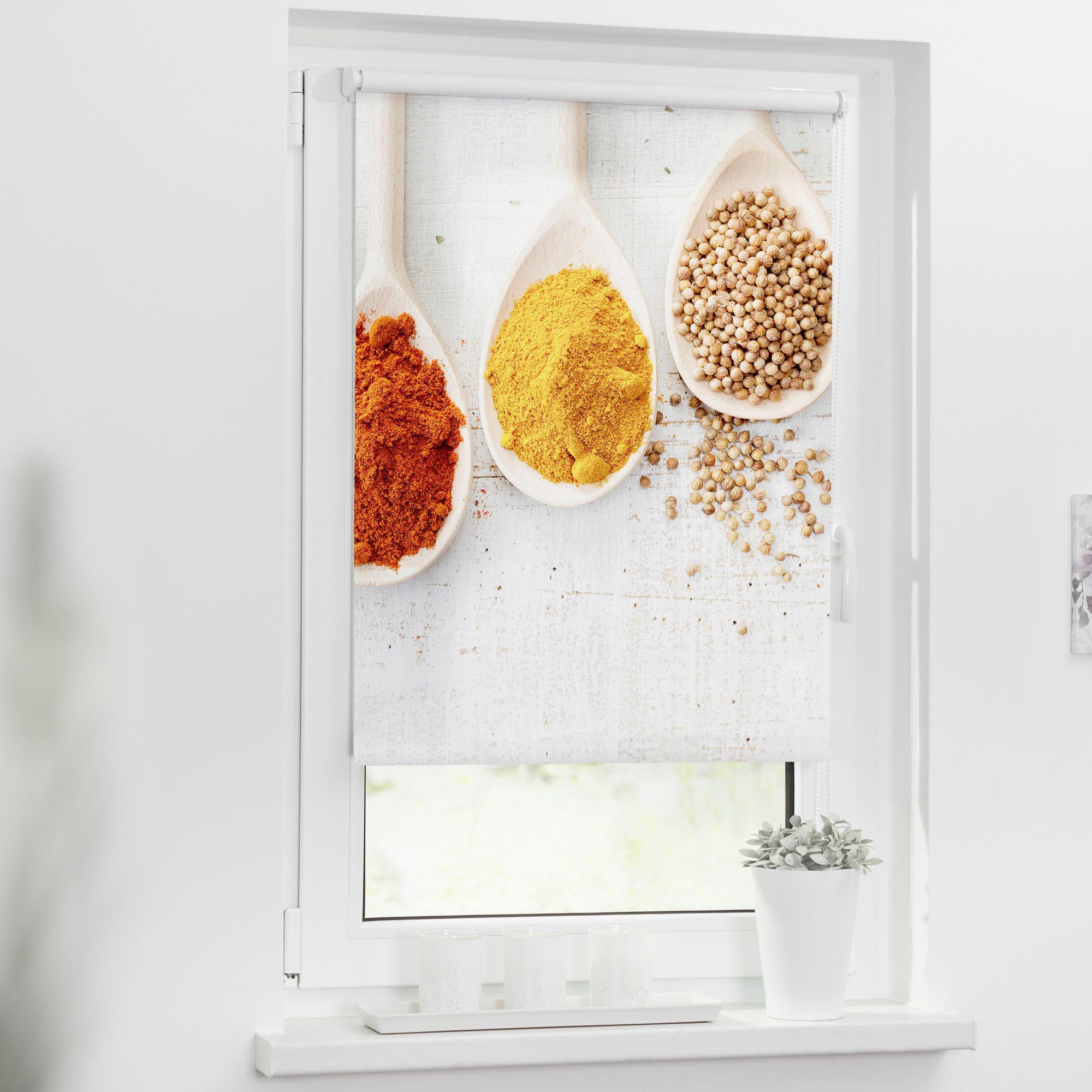 Seitenzugrollo Klemmfix Motiv Spices, LICHTBLICK ORIGINAL, günstig online kaufen