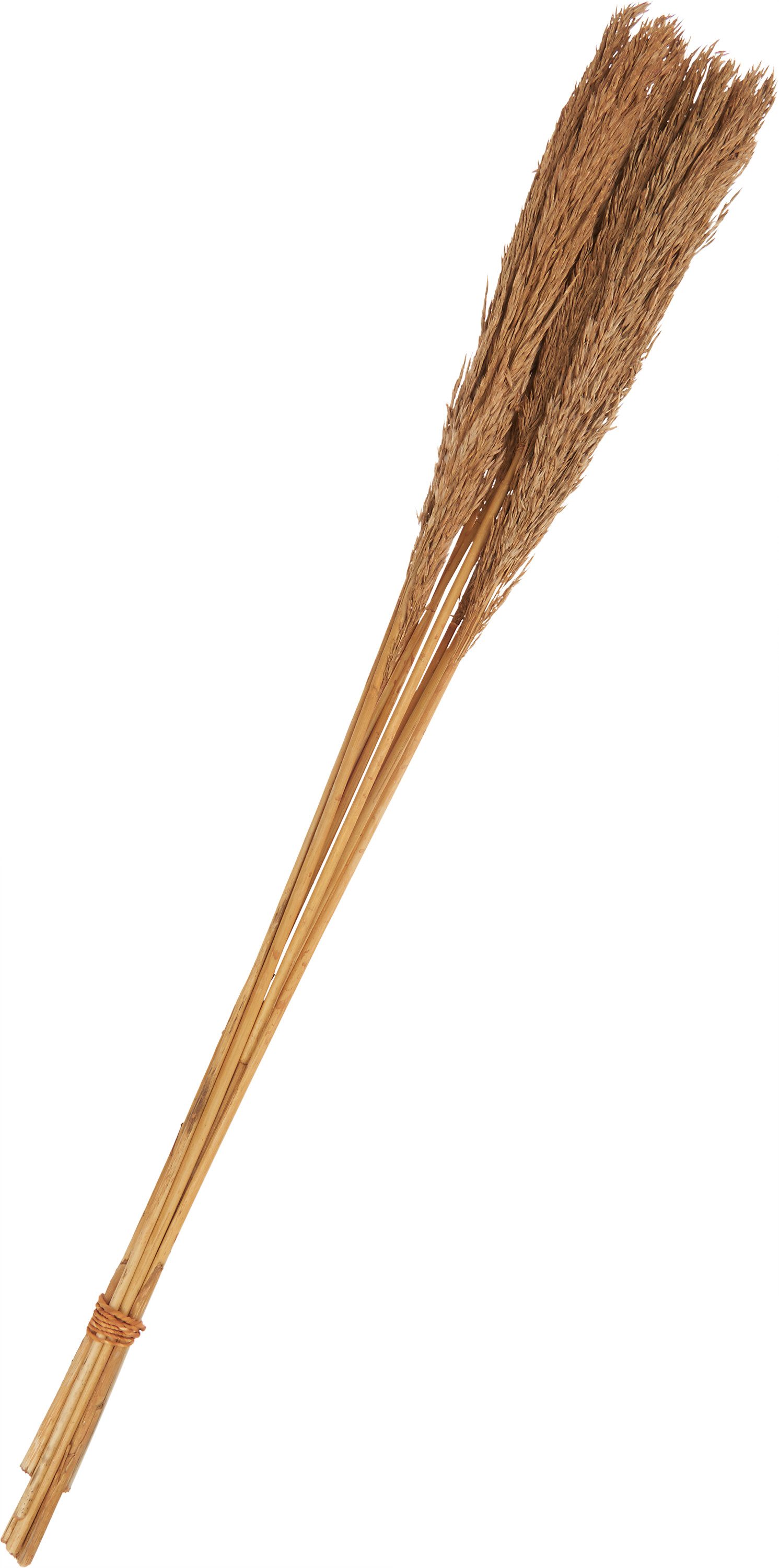 Kunstpflanze Sanmuga Grass, Othmar Decorations, 80 günstig online kaufen