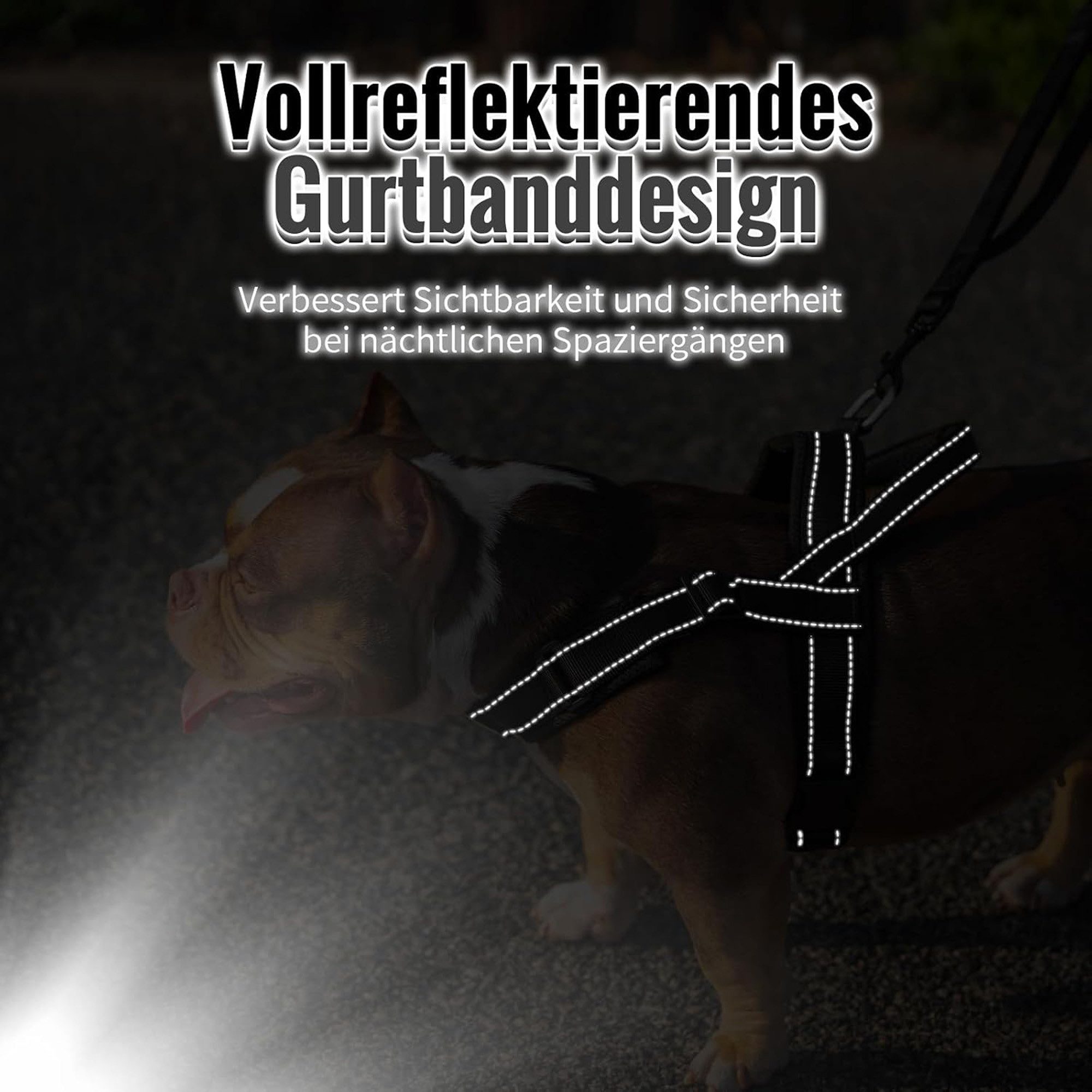 ibettertec Hundeweste Hundegeschirr, Anti-Zug Geschirr, Brustgeschirr, Training, Zugentlastendes Design, Weiche Polsterung