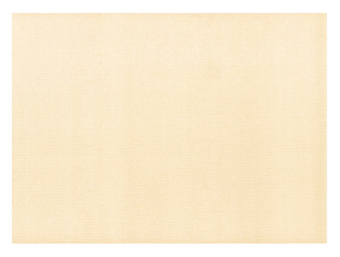 AVA Platzset, Tischsets aus Papier 43x30cm 50 Stück Champagner