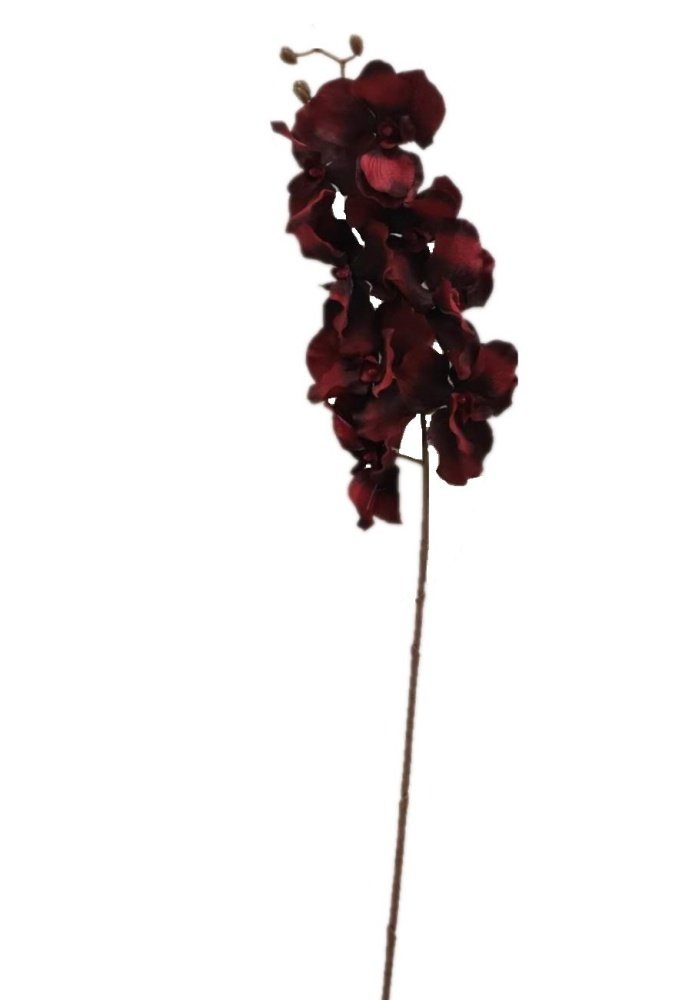 Kunstblume Orchidee bordaux-rot (Orchidaceae), 2474U, Höhe 100 cm, Stielblu günstig online kaufen