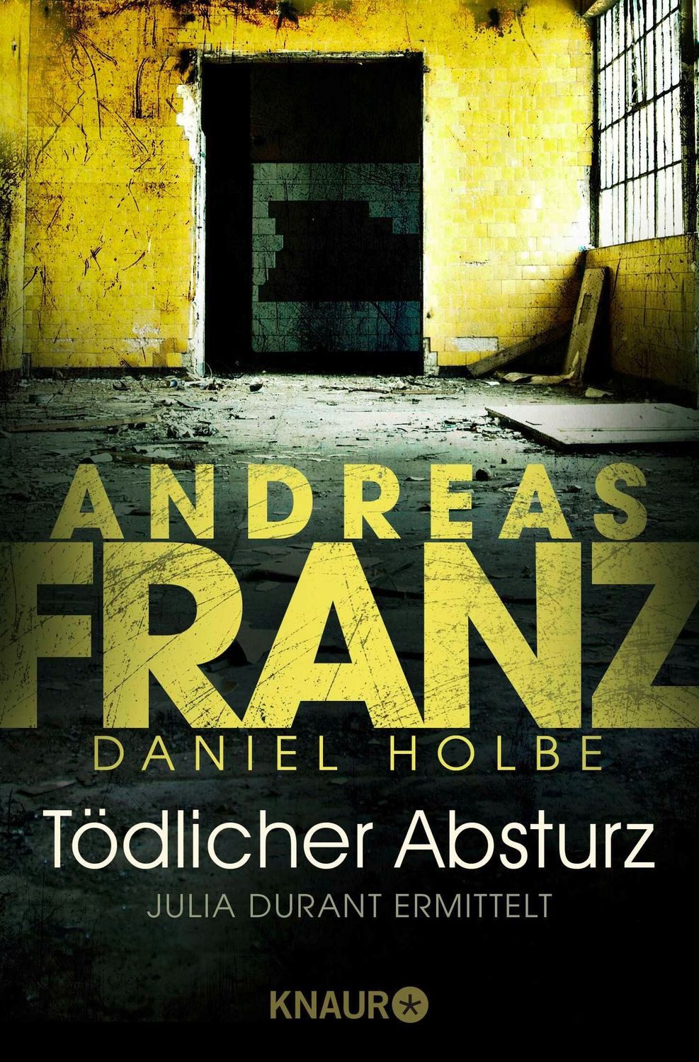 Tödlicher Absturz / Julia Durant Band 13 / Andreas Franz, Daniel Holbe