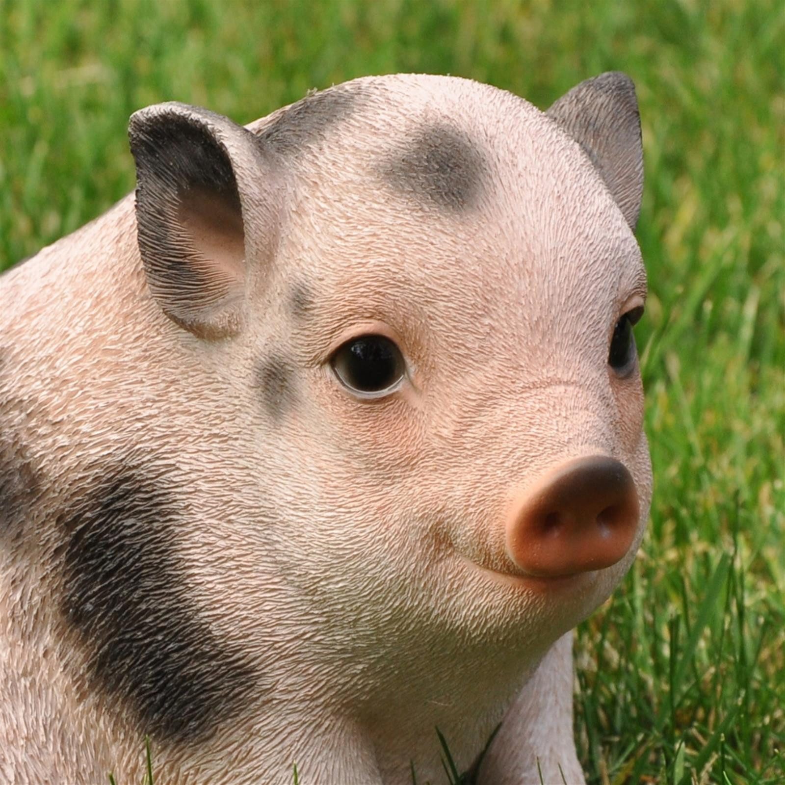dazikemo Gartenfigur Dekofigur Gartenfigur Schwein / Ferkel
